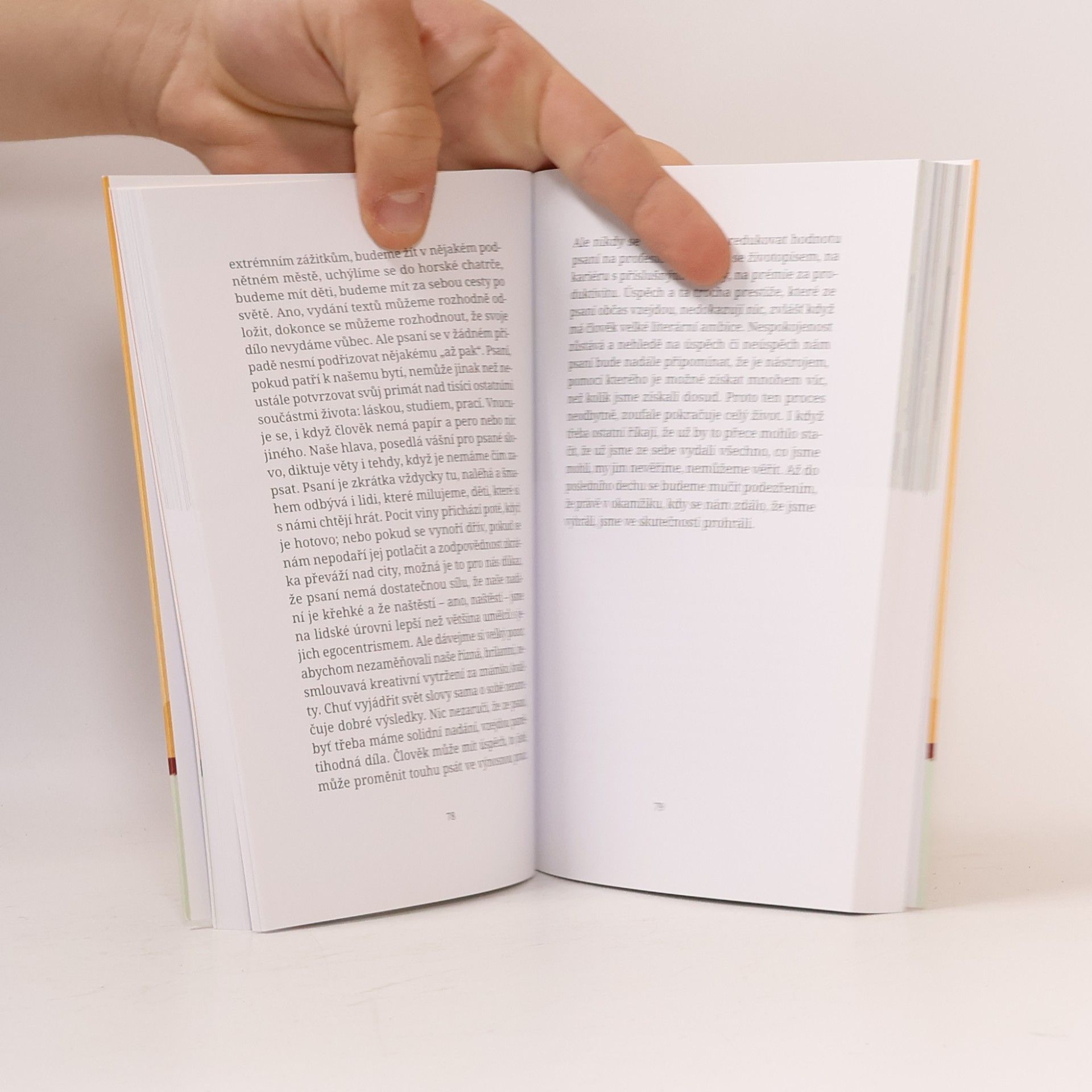 Elena Ferrante Příležitostné nápady