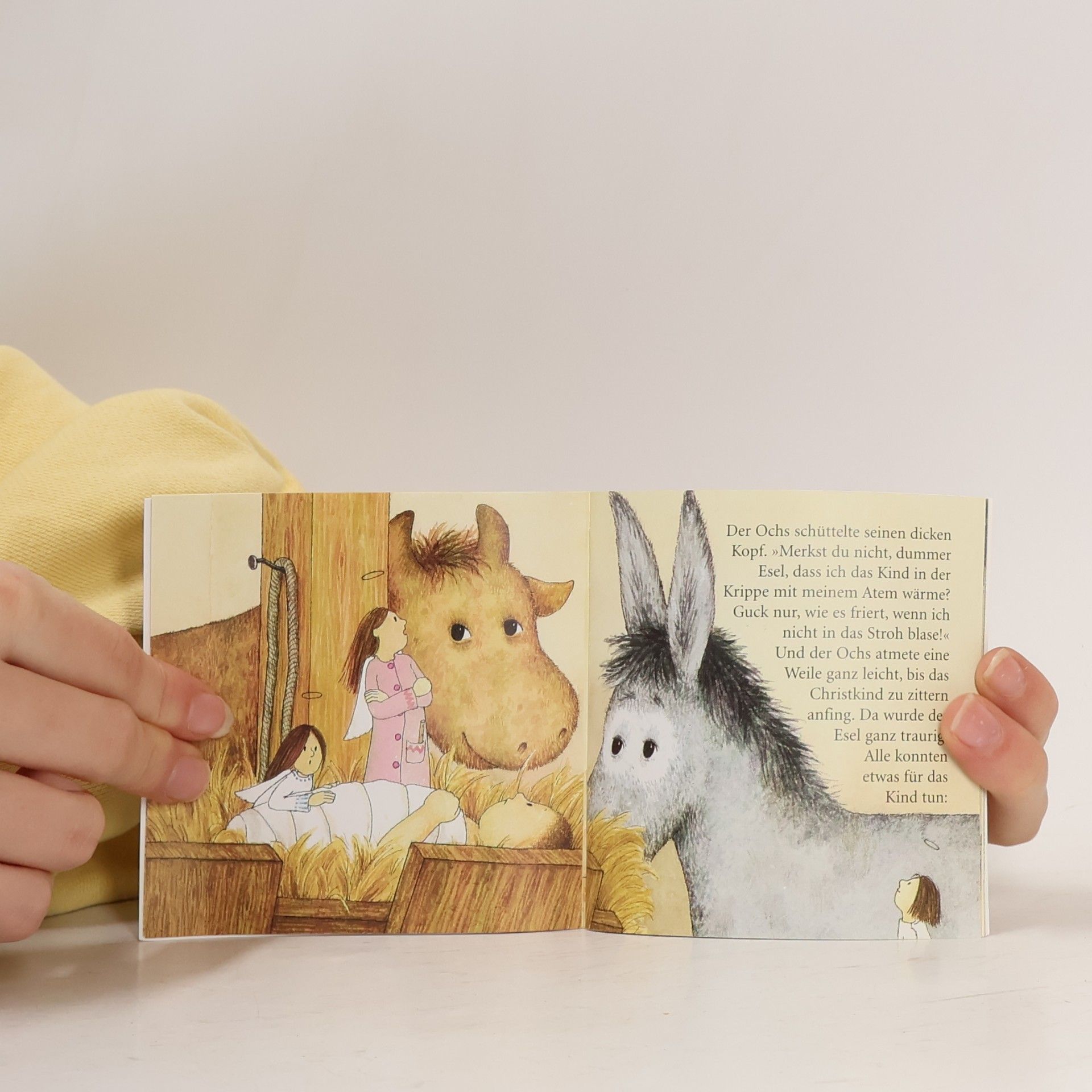 Various authors Weihnachts-Pixi-Bücher Serie 15. Pixi trifft den Weihnachtsmann