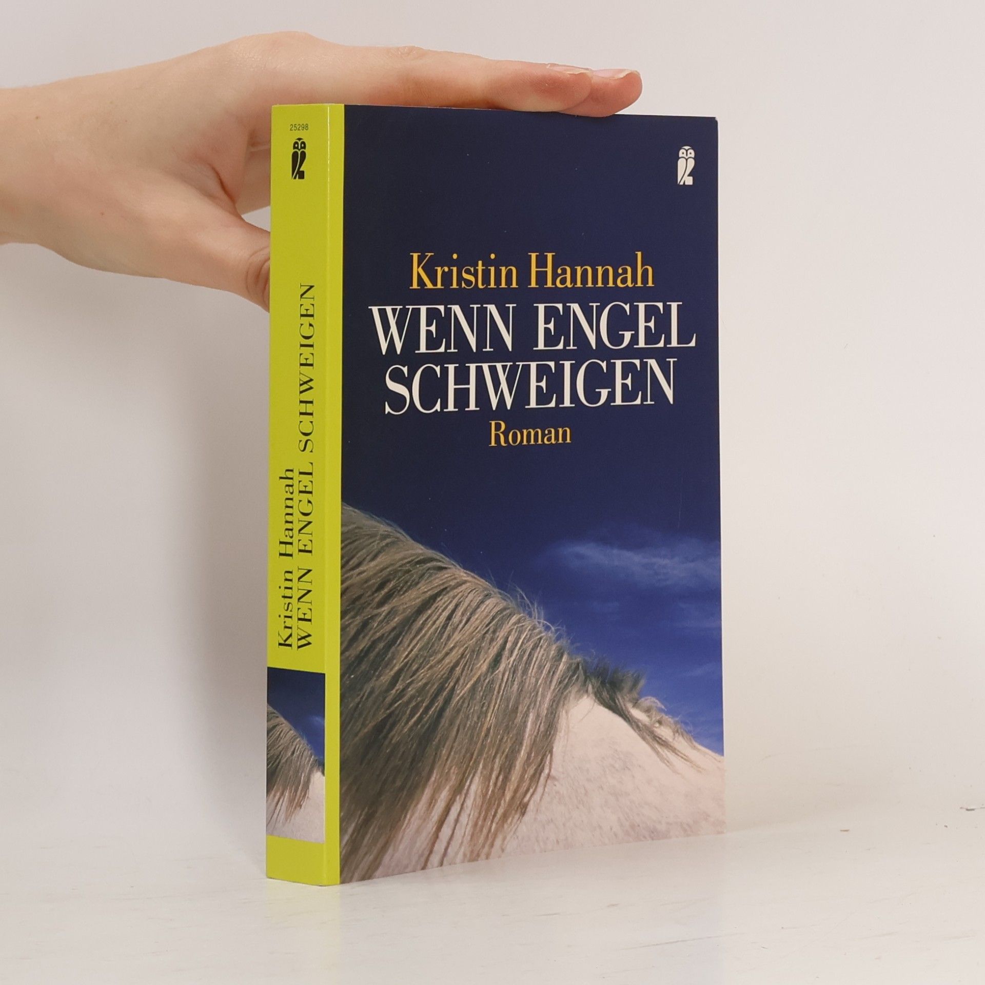Kristin Hannah Wenn Engel schweigen
