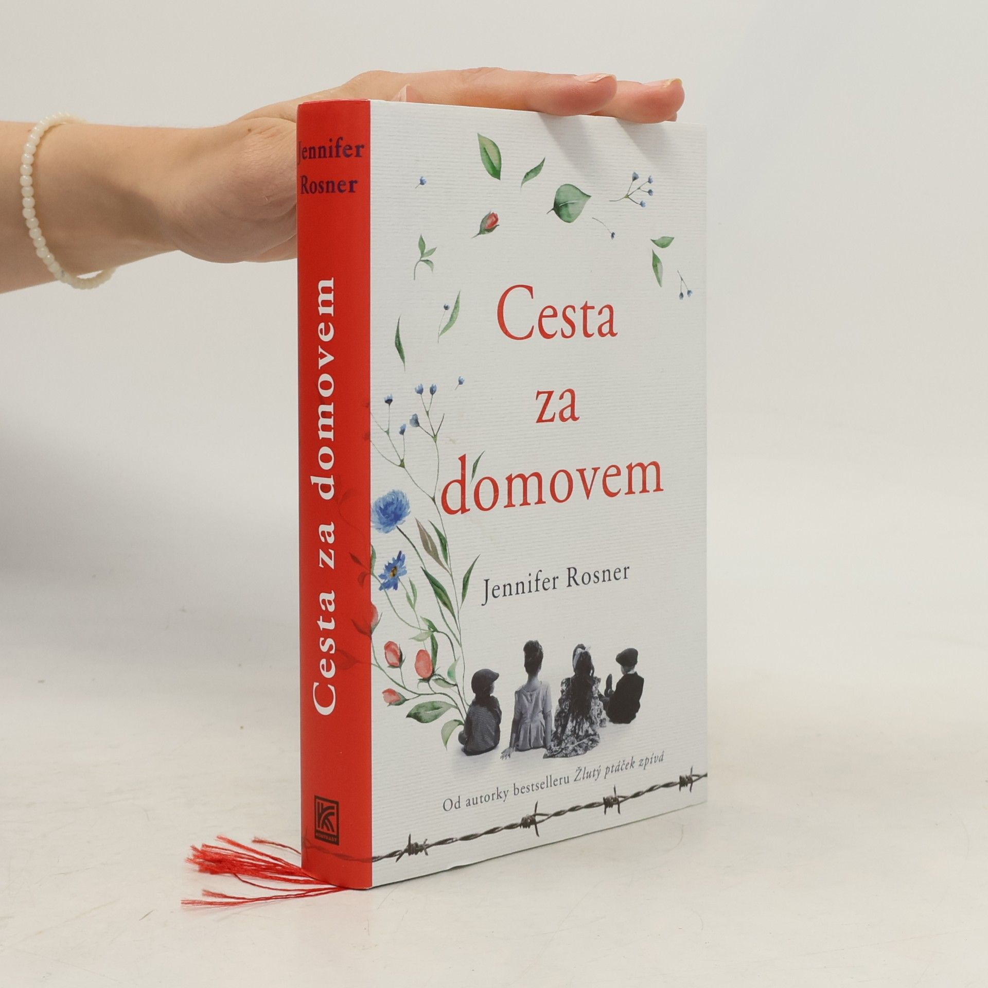 Cesta za domovem