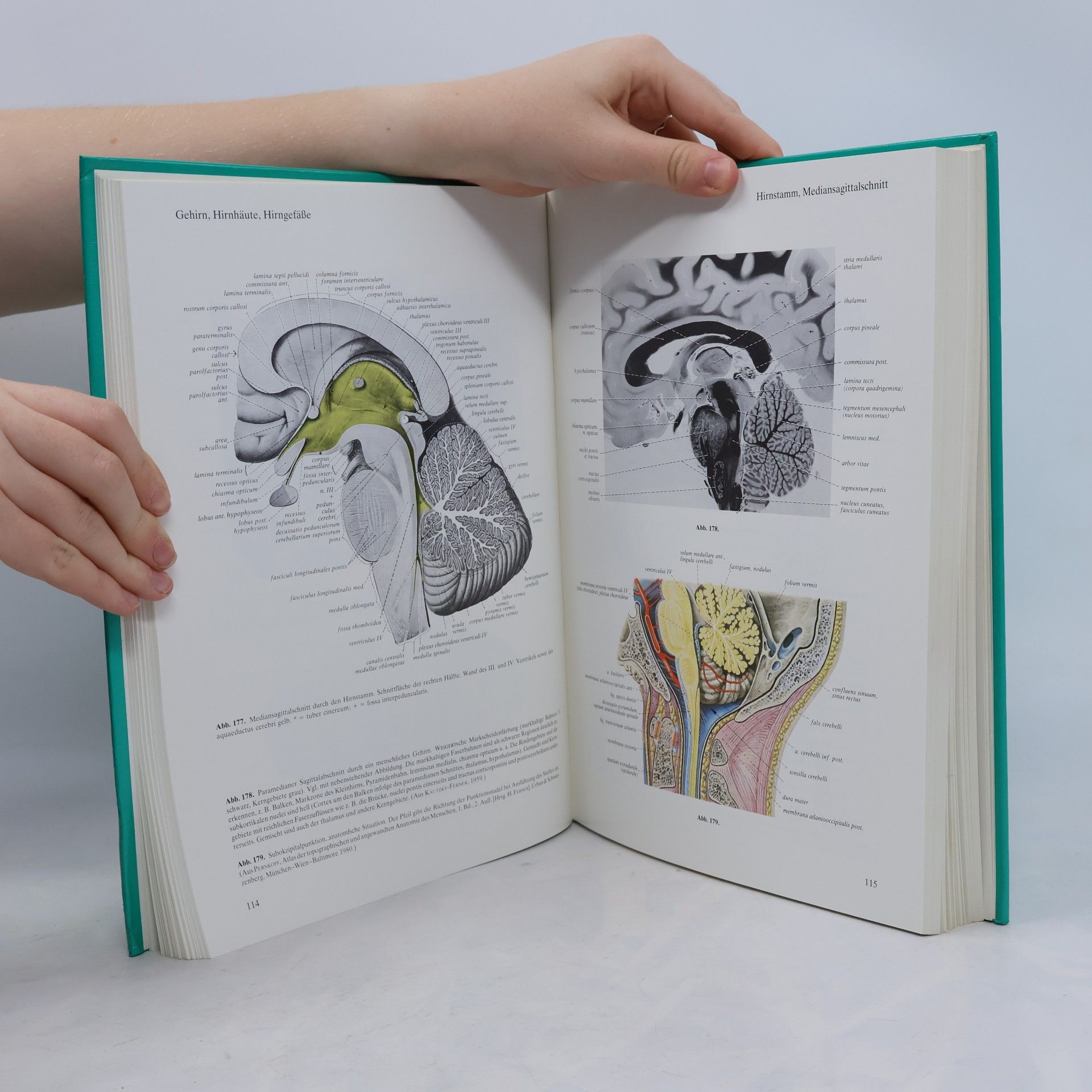 Johannes Sobotta Atlas der Anatomie des Menschen 1