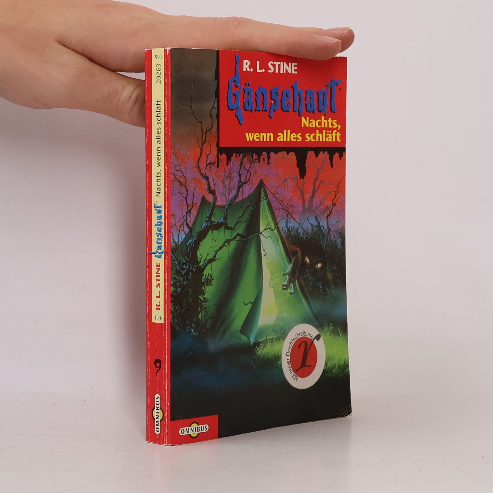 R. L. Stine Gänsehaut 9. Nachts, wenn alles schläft