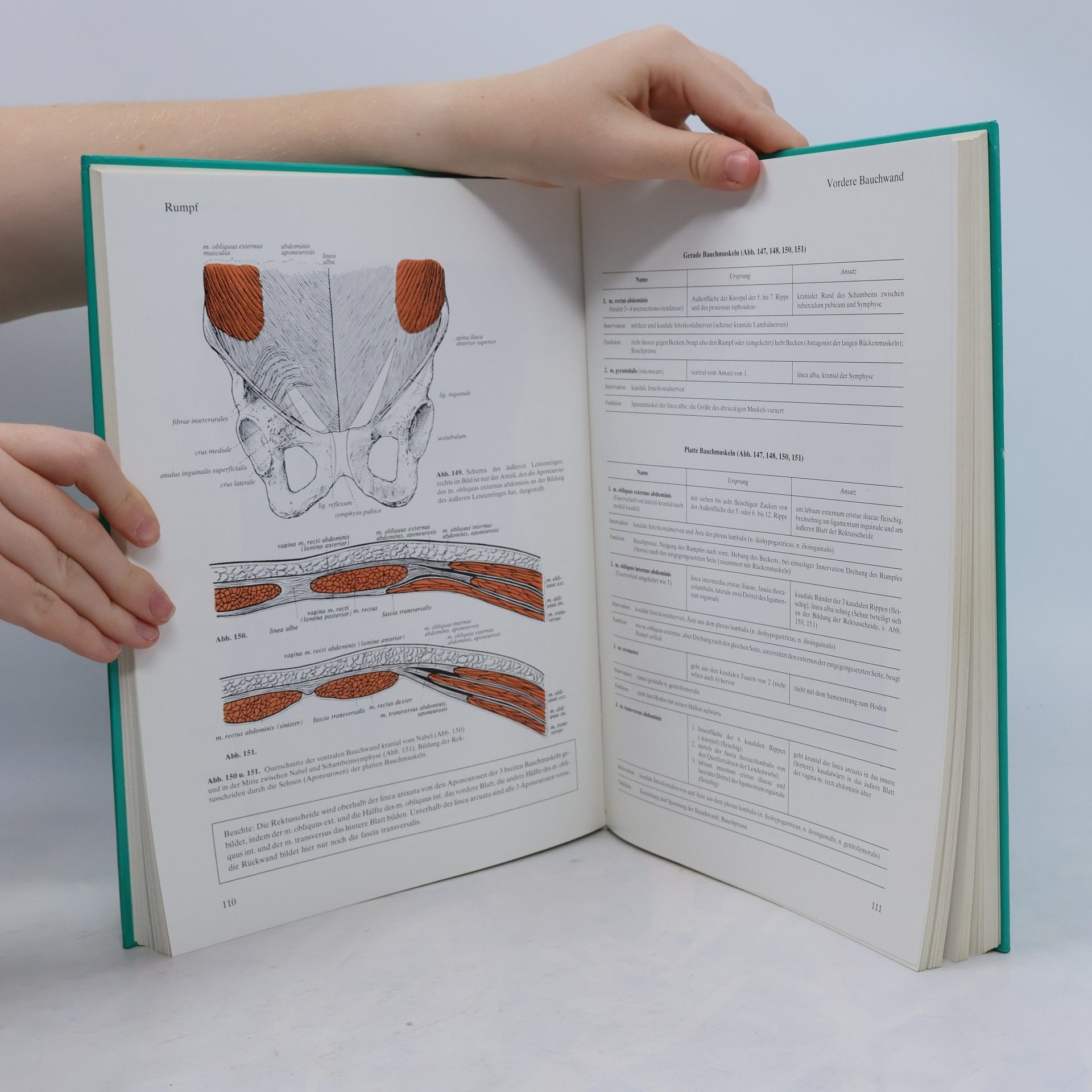 Johannes Sobotta Atlas der Anatomie des Menschen 2
