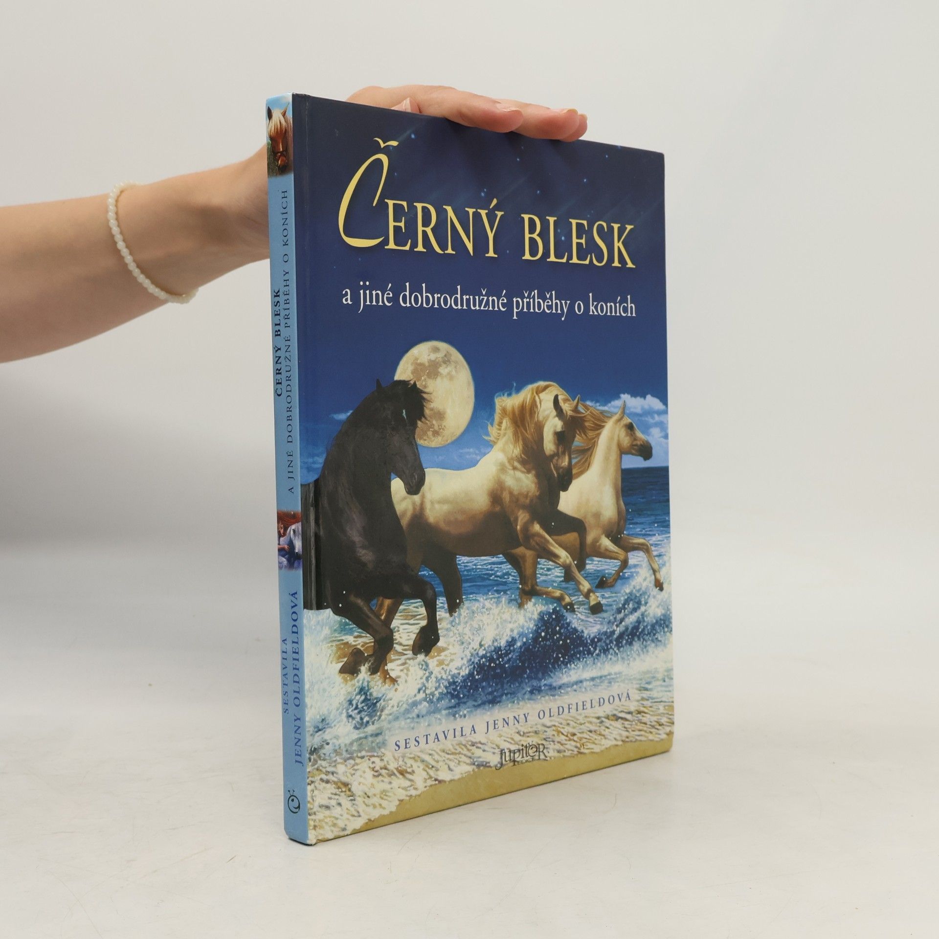 Jenny Oldfield Černý blesk a jiné dobrodružné příběhy o koních