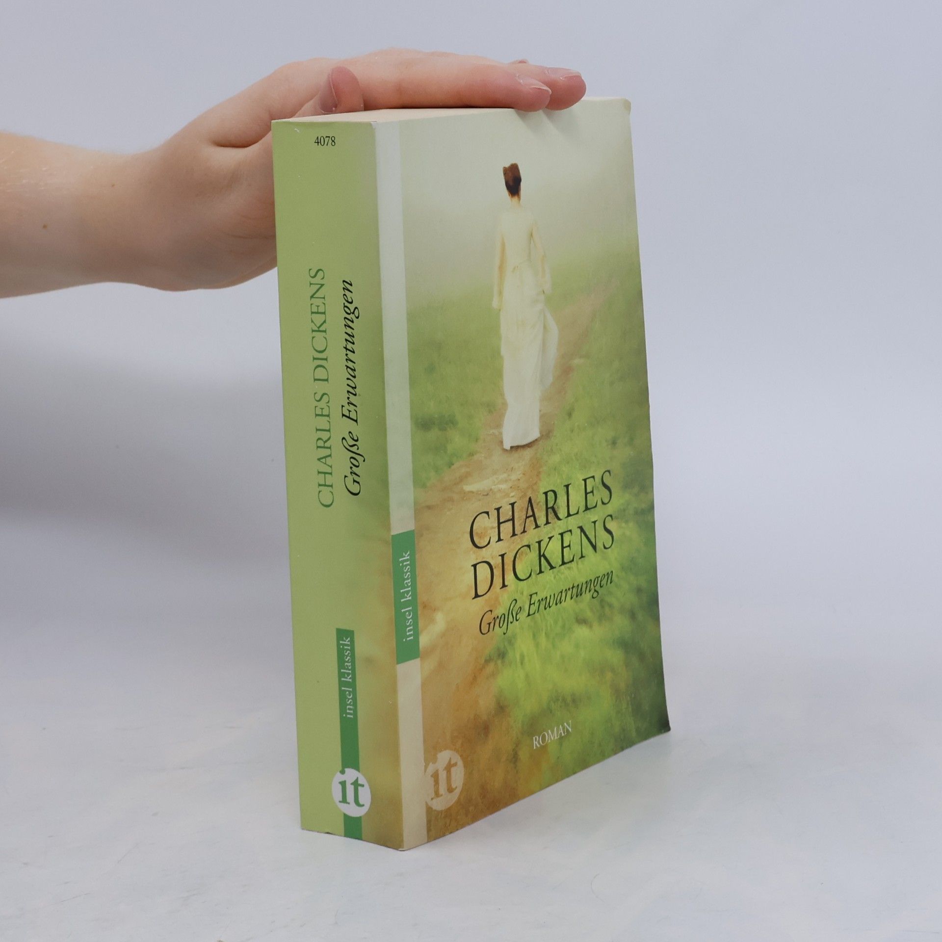 Charles Dickens Grosse Erwartungen
