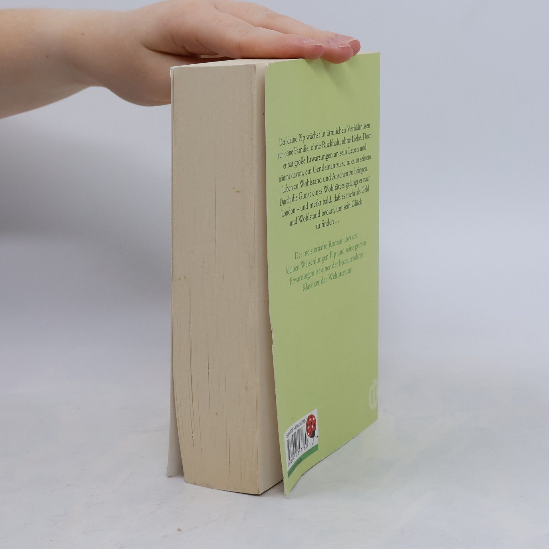 Charles Dickens Grosse Erwartungen