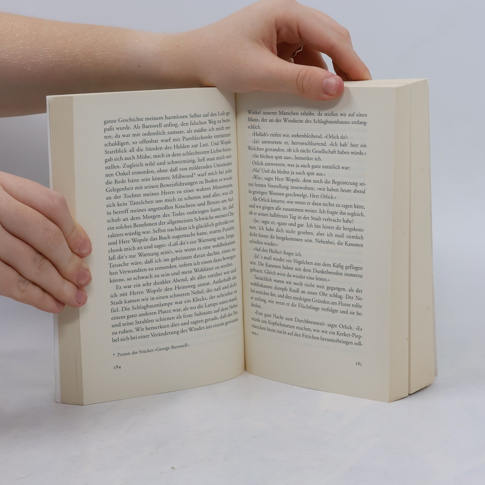 Charles Dickens Grosse Erwartungen
