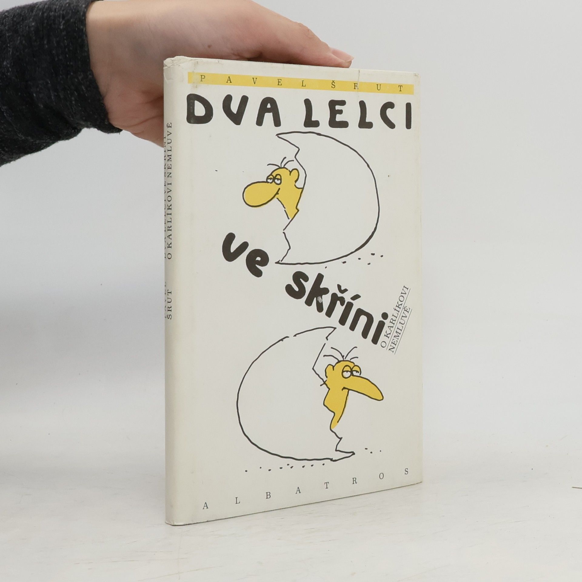 Dva lelci ve skříni o Karlíkovi nemluvě