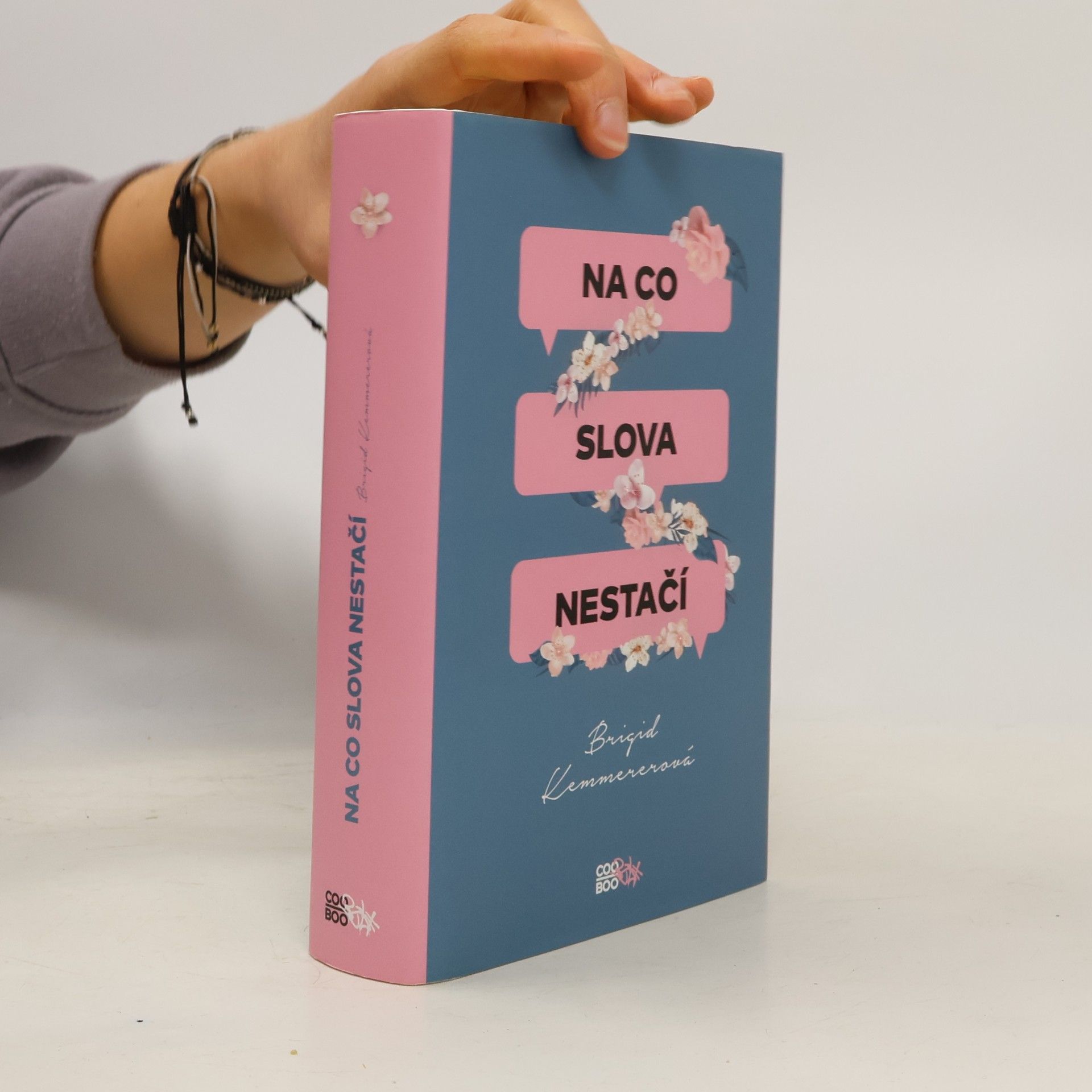 Brigid Kemmerer Na co slova nestačí