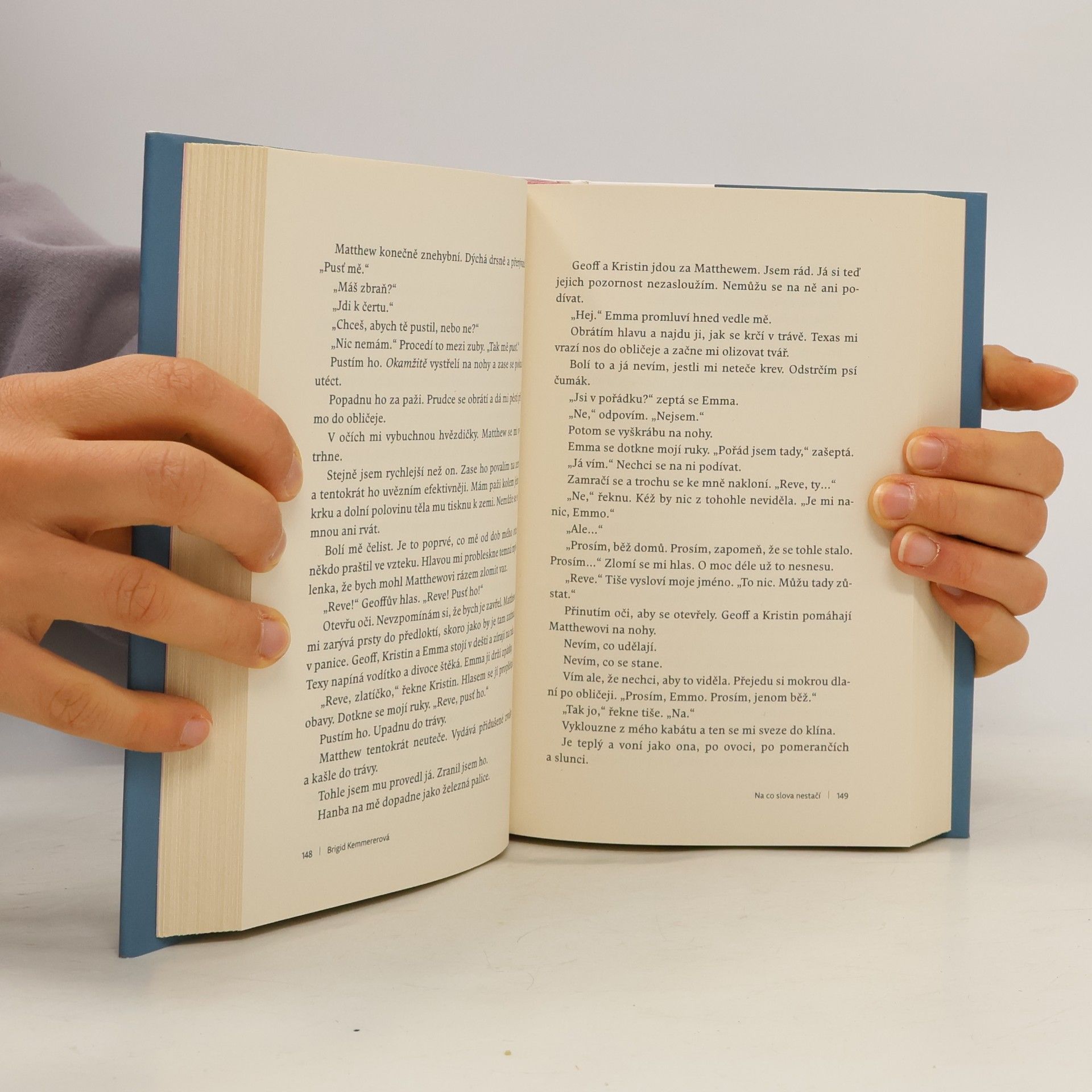 Brigid Kemmerer Na co slova nestačí