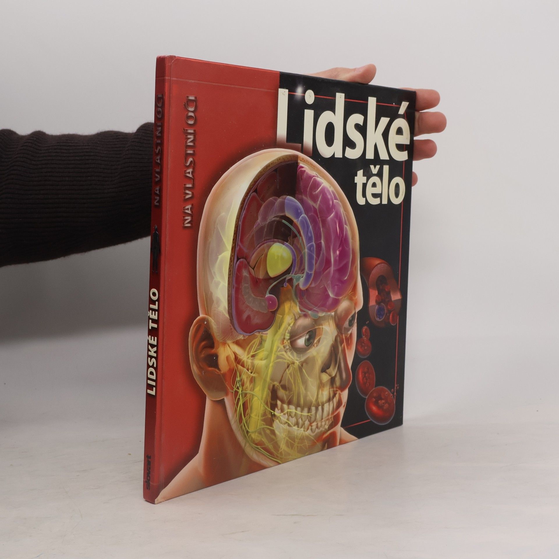 Linda Calabresi Lidské tělo