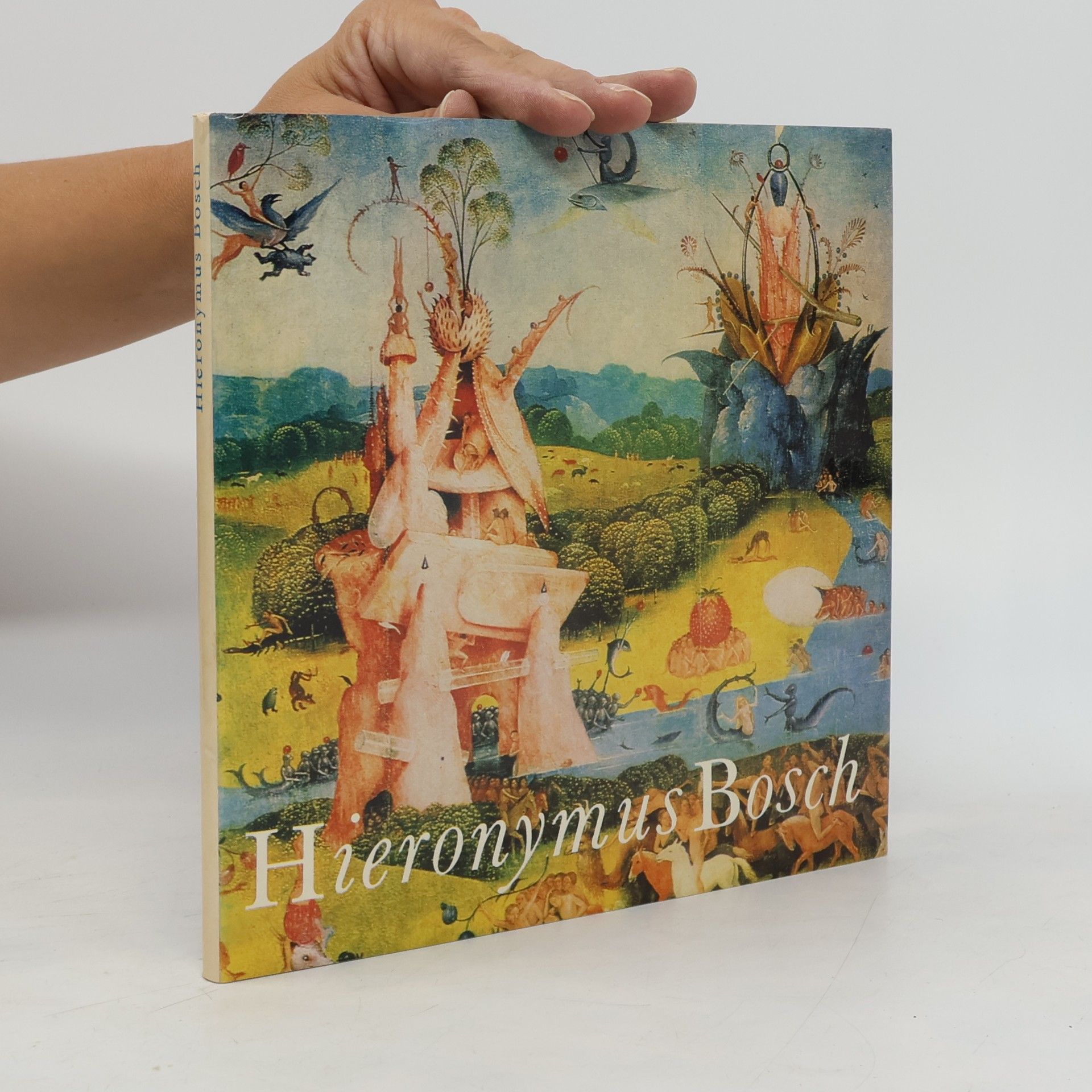 Hana Volavková Hieronymus Bosch