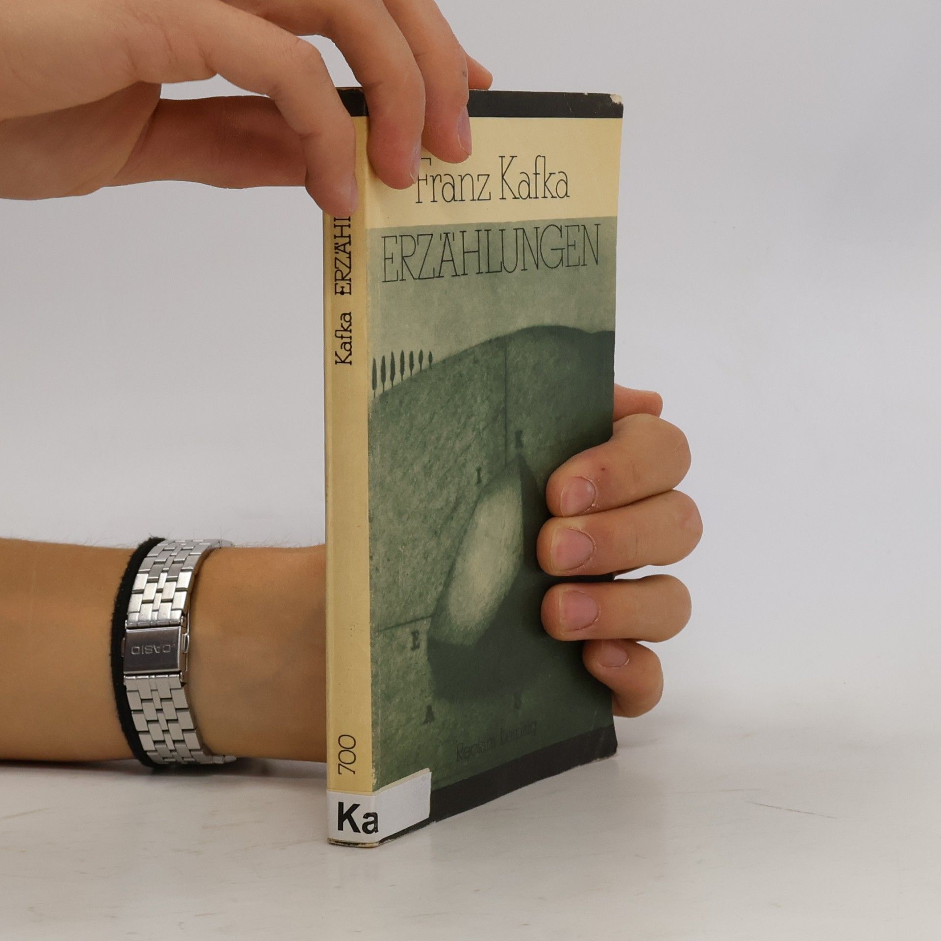 Franz Kafka Erzählungen
