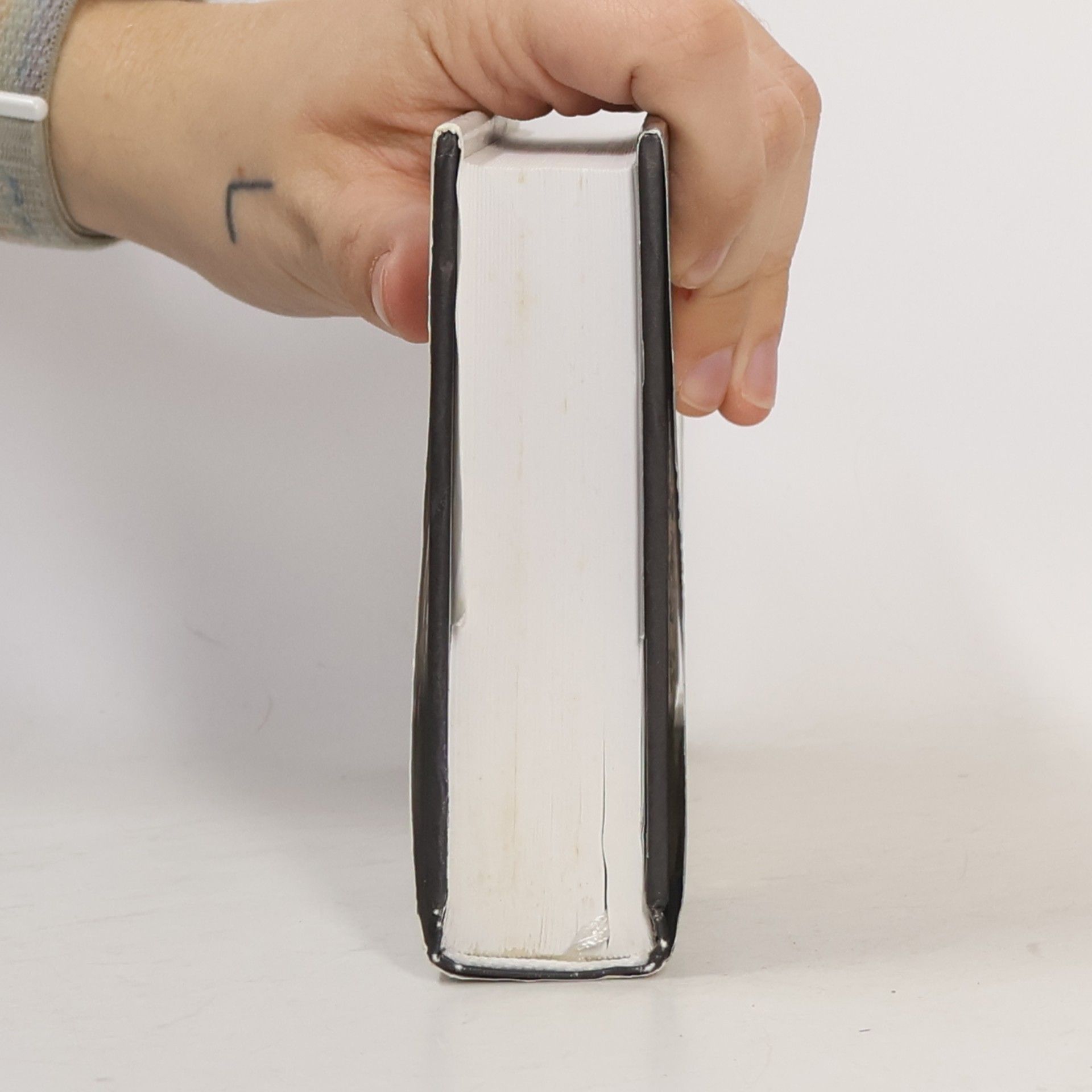 Jiří Pelán Kapitoly z francouzské a italské literatury