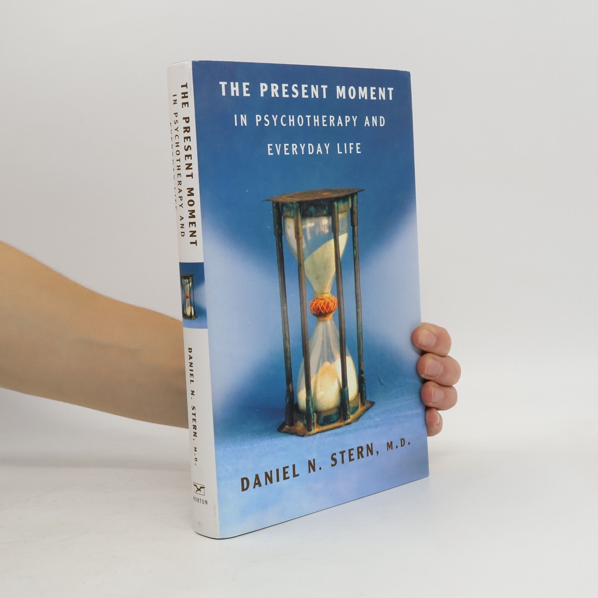Daniel N. Stern, M.D. Norton Series on Interpersonal Neurobiology: The Present Moment in Psychotherapy and Everyday Life