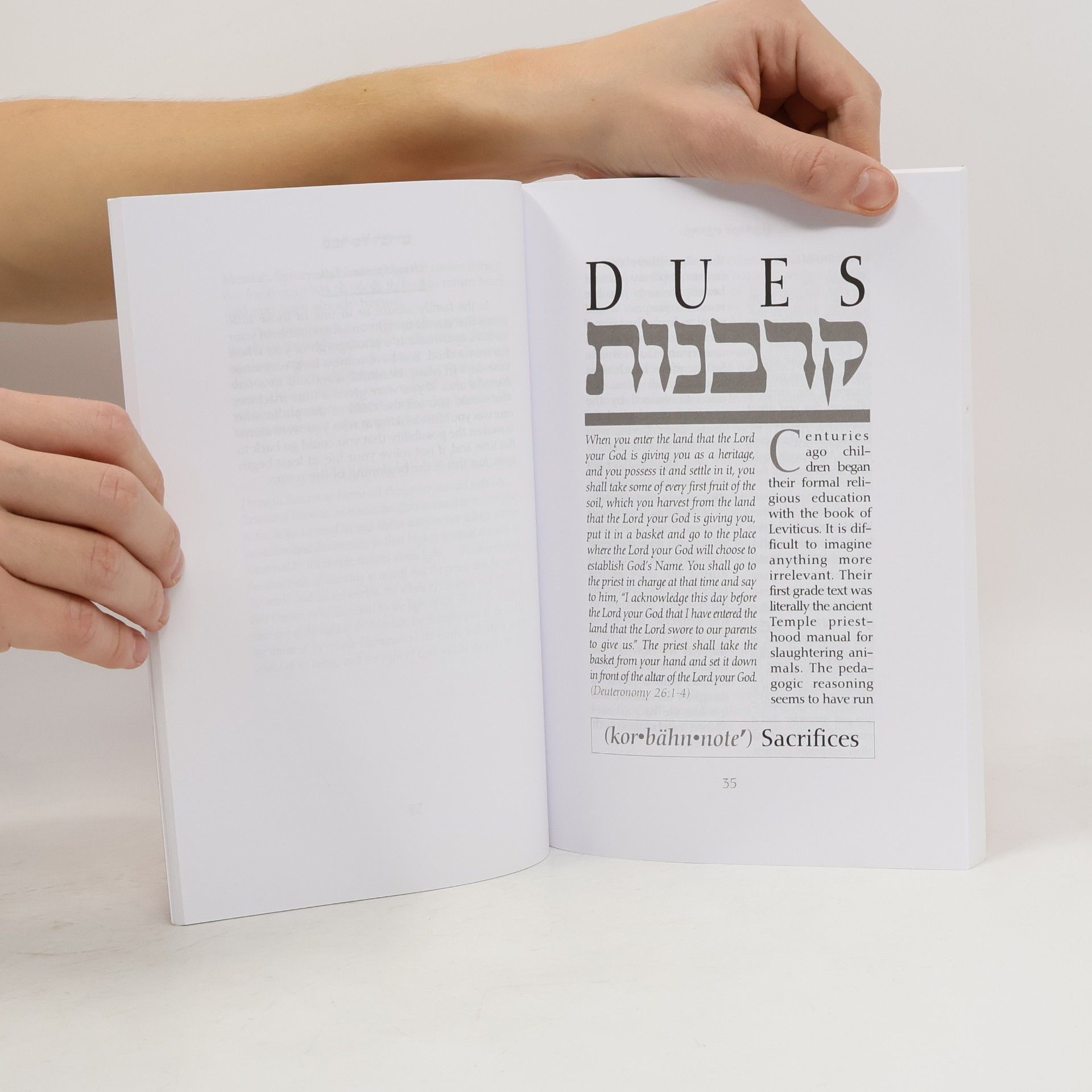 Lawrence Kushner The Kushner Series: The Book of Words