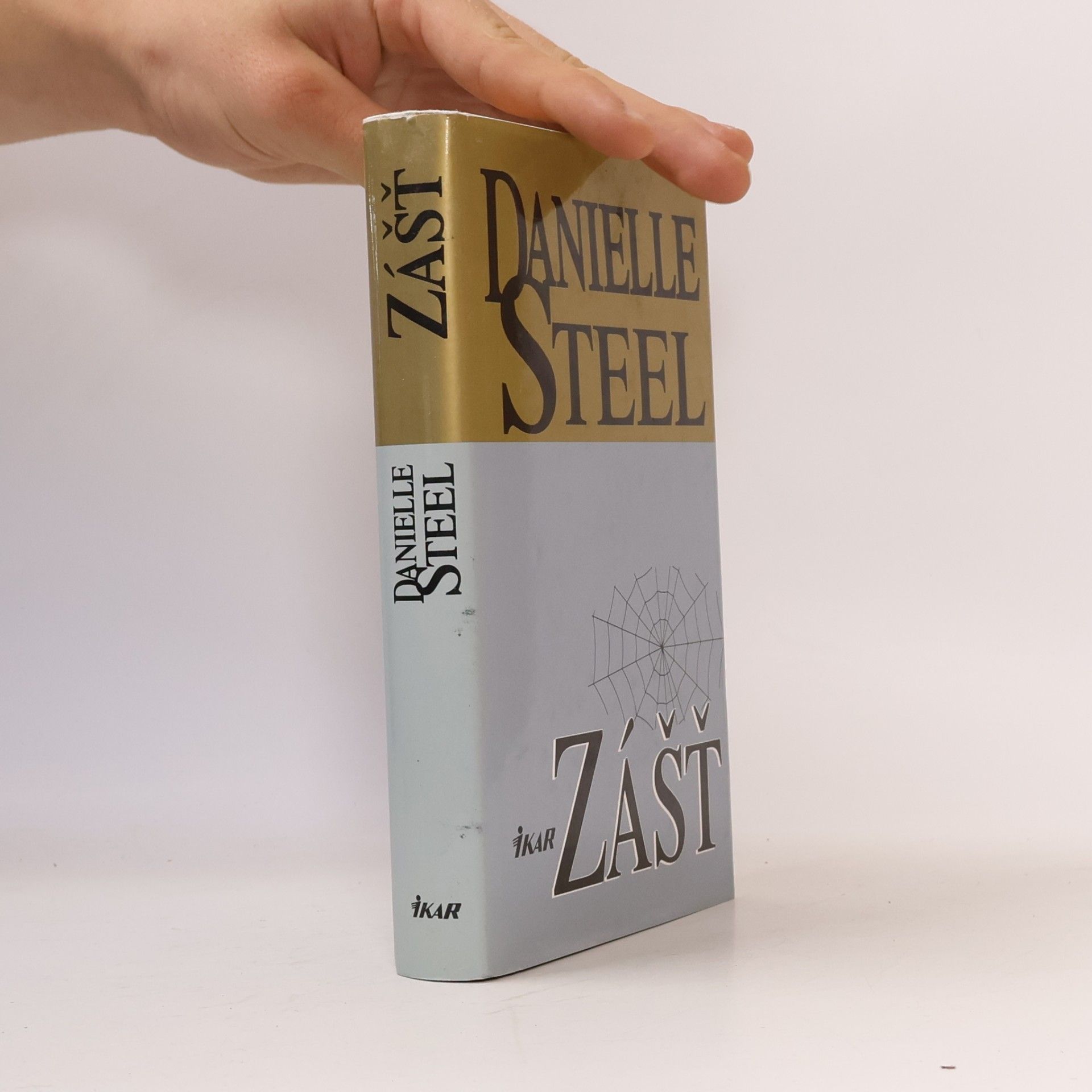 Danielle Steel Zášť