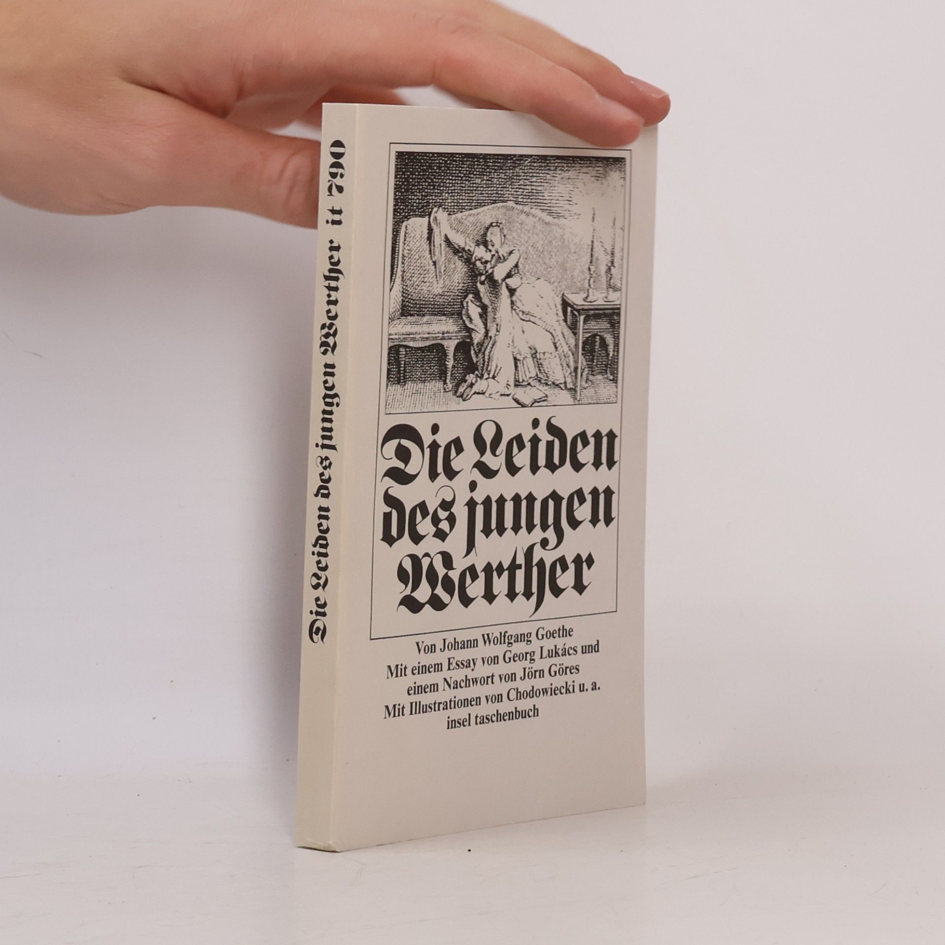 Johann Wolfgang von Goethe Die Leiden des jungen Werther