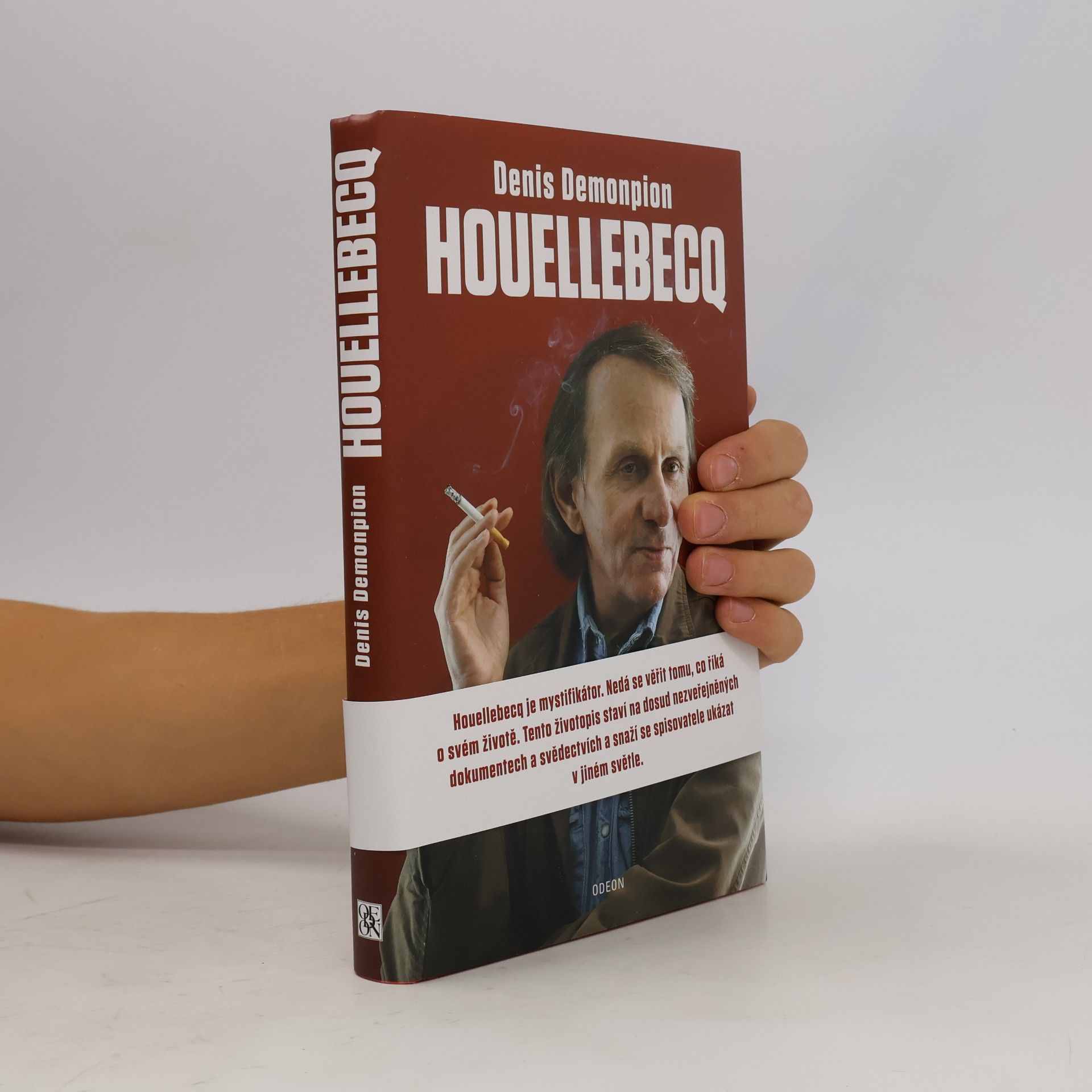 Denis Demonpion Houellebecq