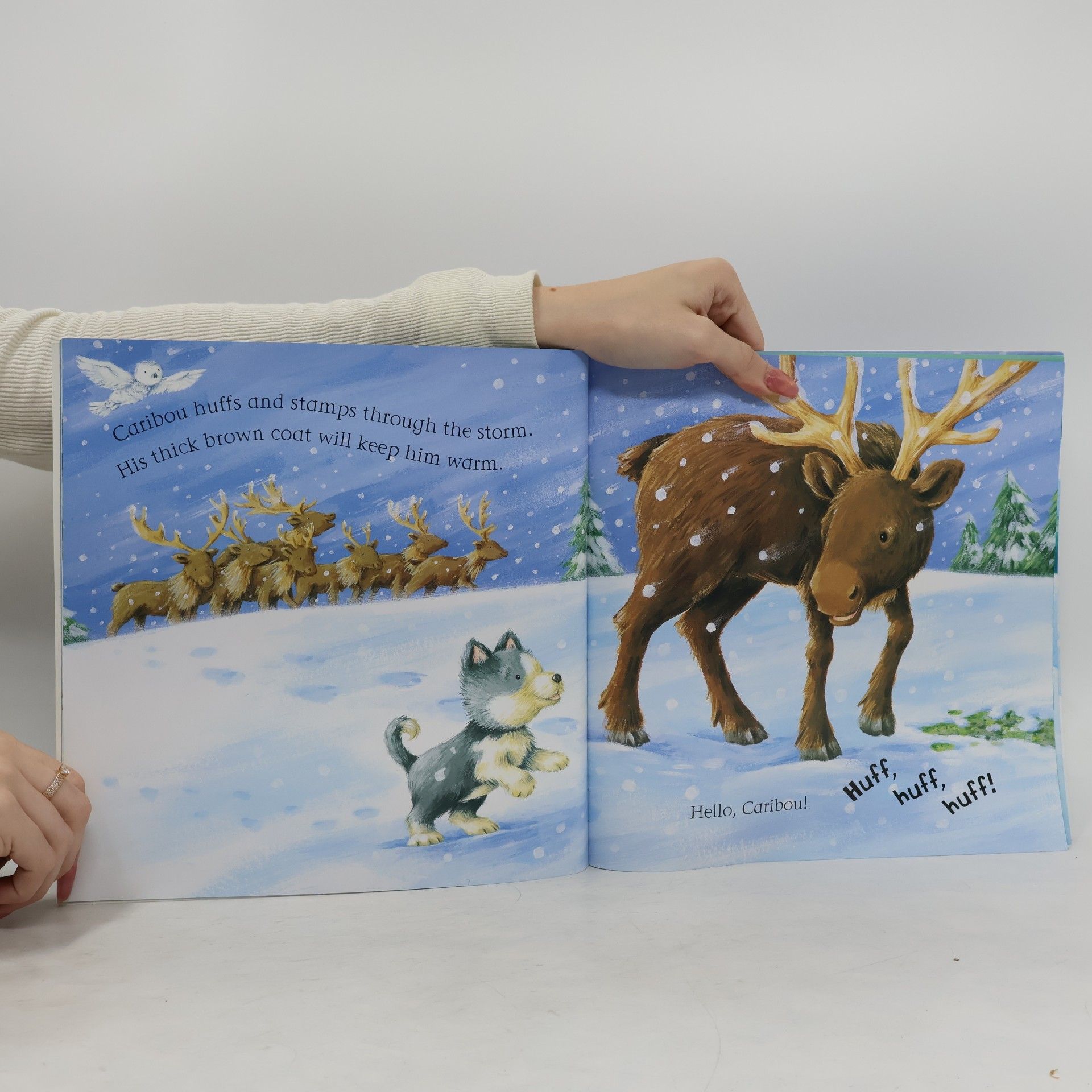 Ian Whybrow Say Hello to the Snowy Animals!
