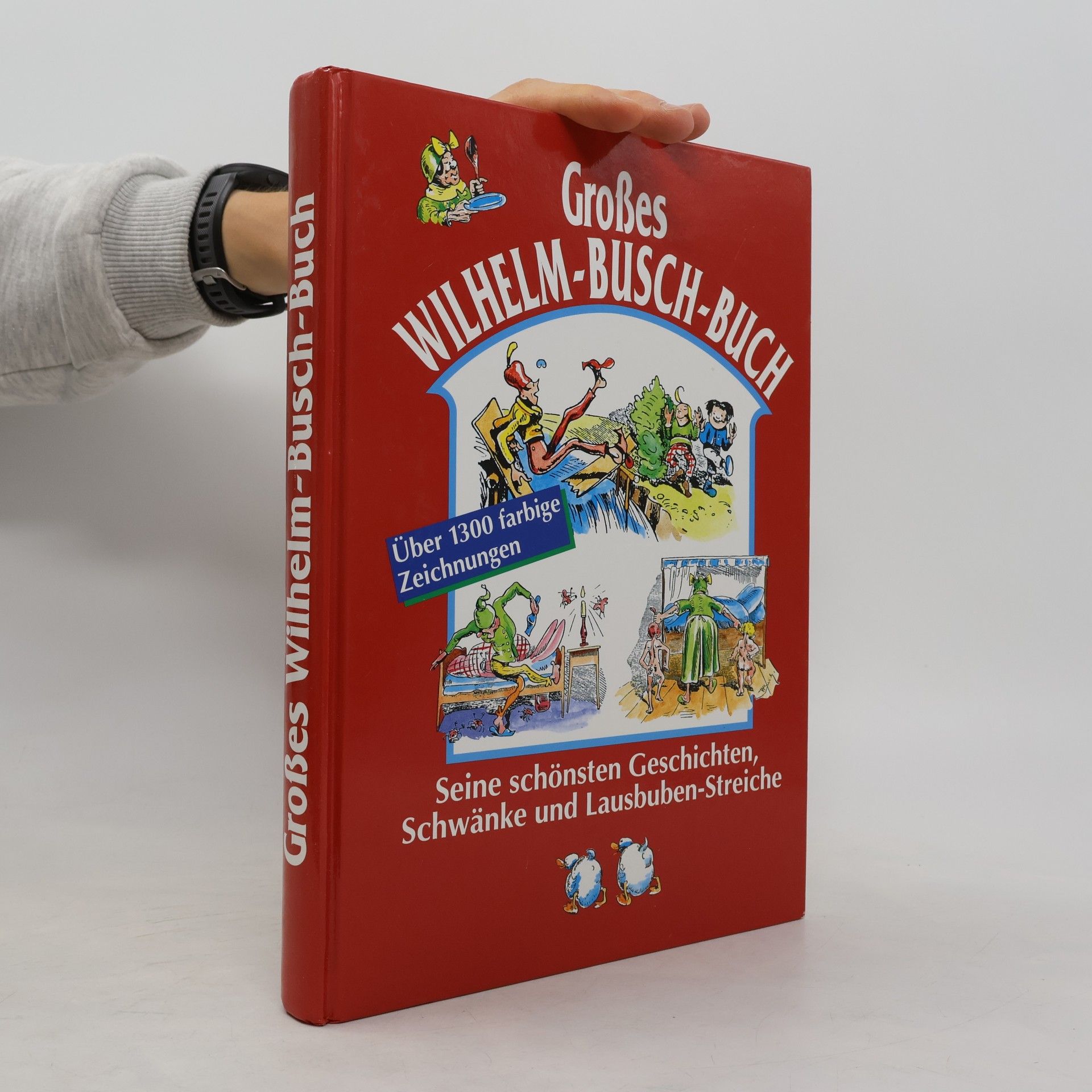 Auteurscollectief Großes Wilhelm-Busch-Buch