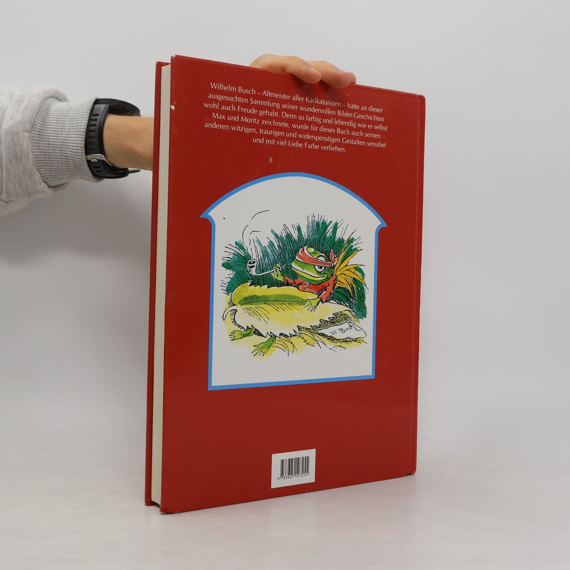 Kolektiv autorů Großes Wilhelm-Busch-Buch
