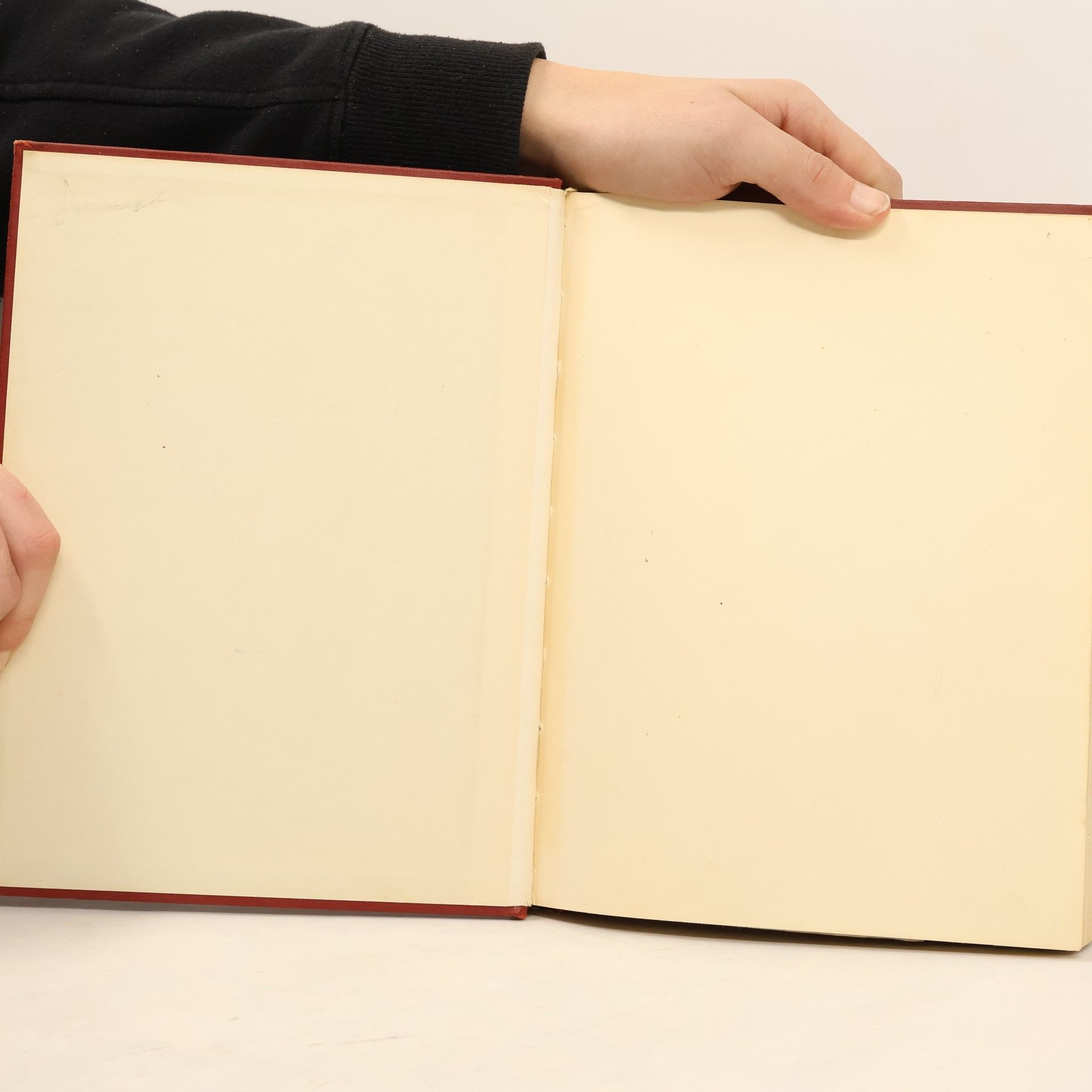 Various authors History for the Beginner