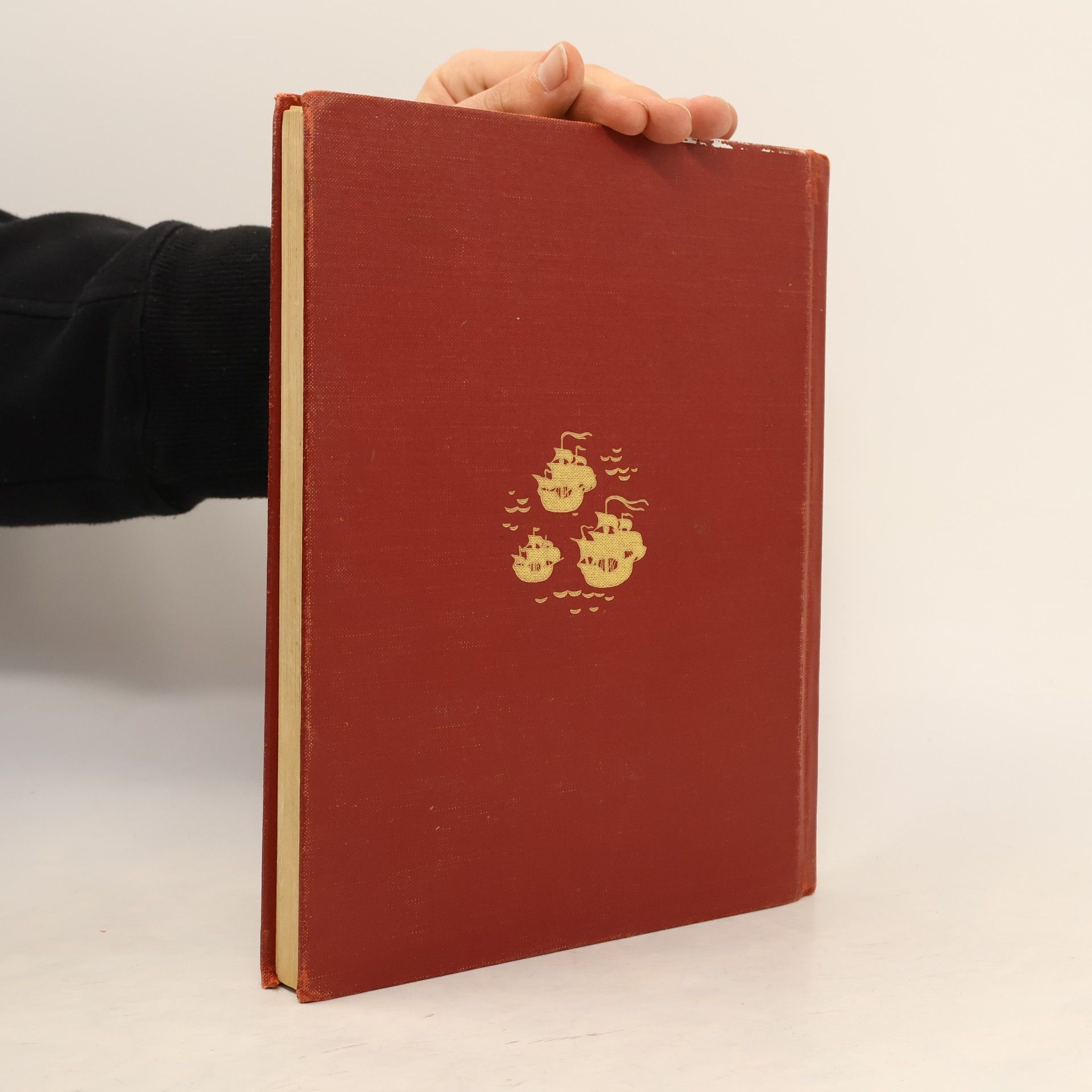 Various authors History for the Beginner
