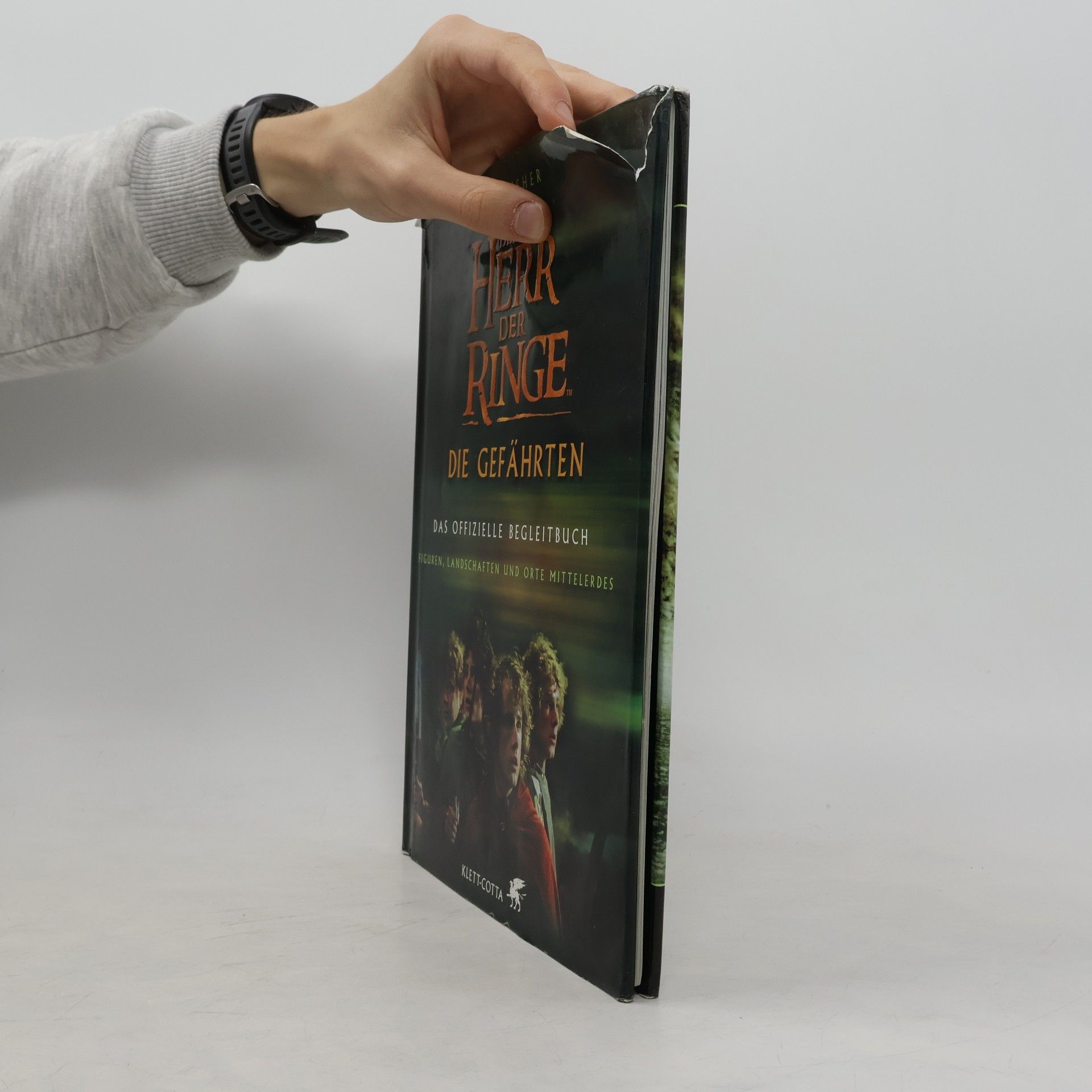 Jude Fisher Der Herr der Ringe: die gefährten, das offizielle begleitbuch