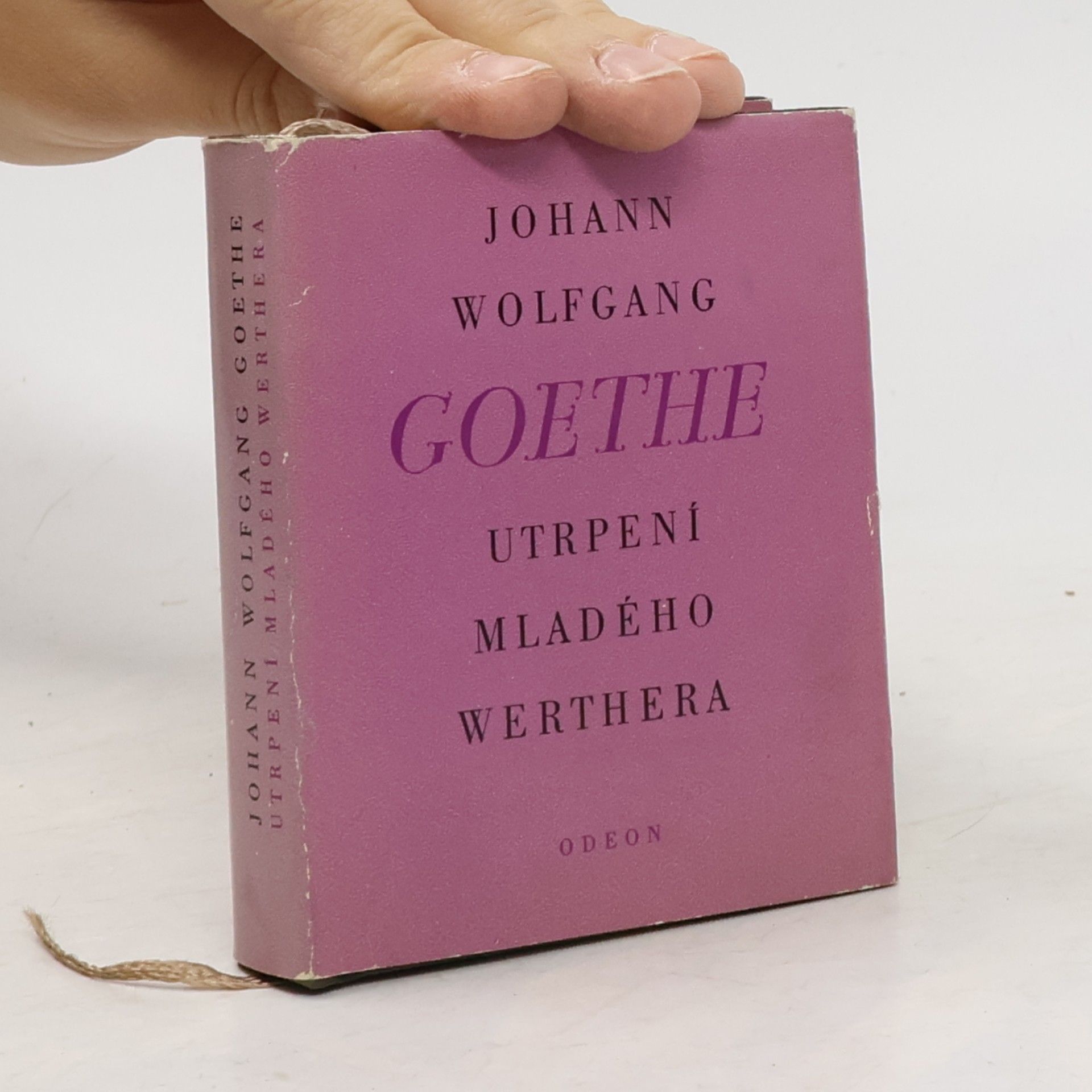 Johann Wolfgang von Goethe Utrpení mladého Werthera