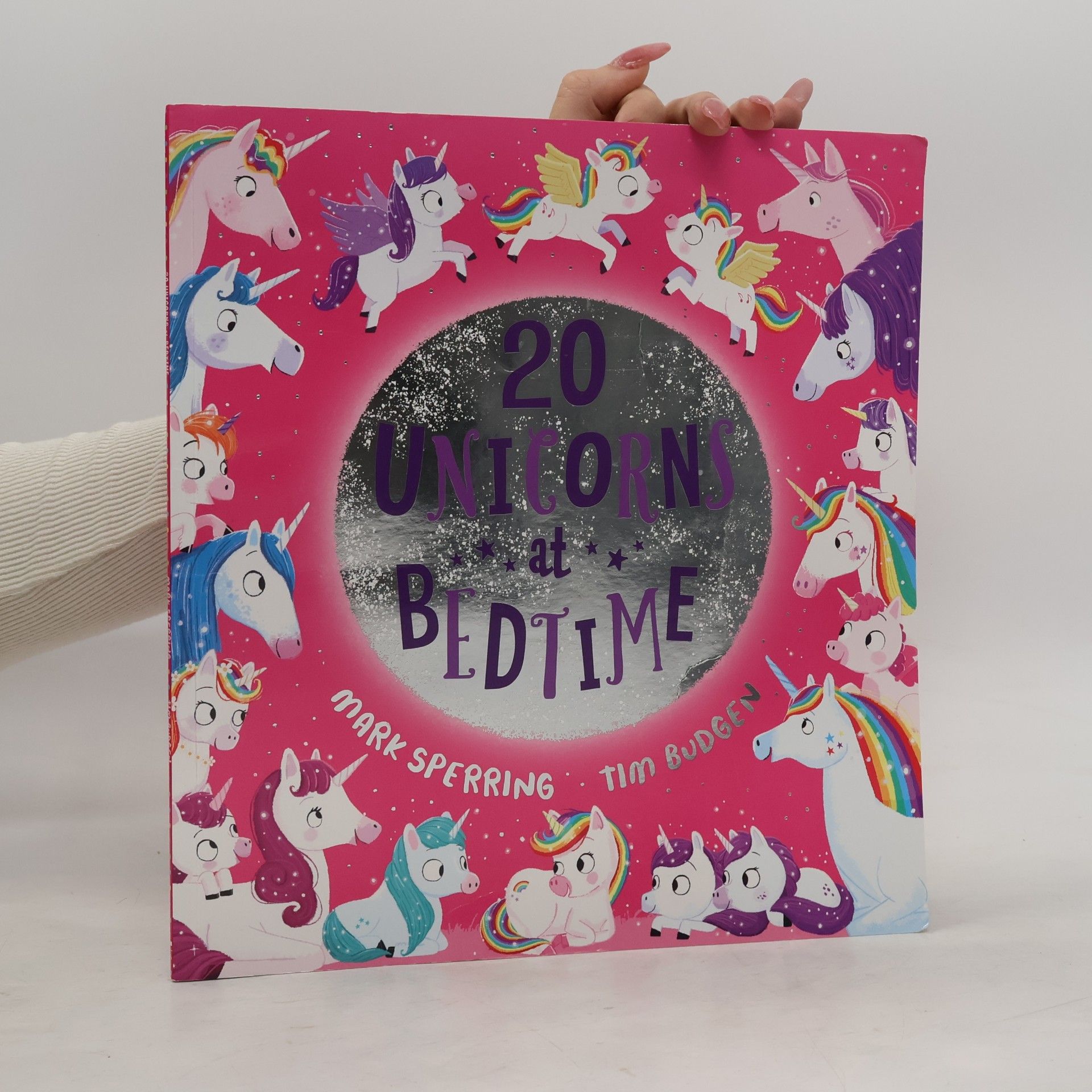 Tim Budgen Twenty Unicorns at Bedtime