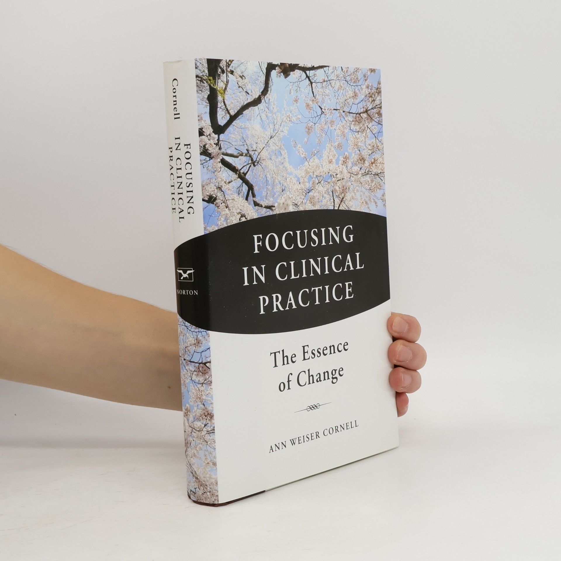 Ann Weiser Cornell Focusing in Clinical Practice