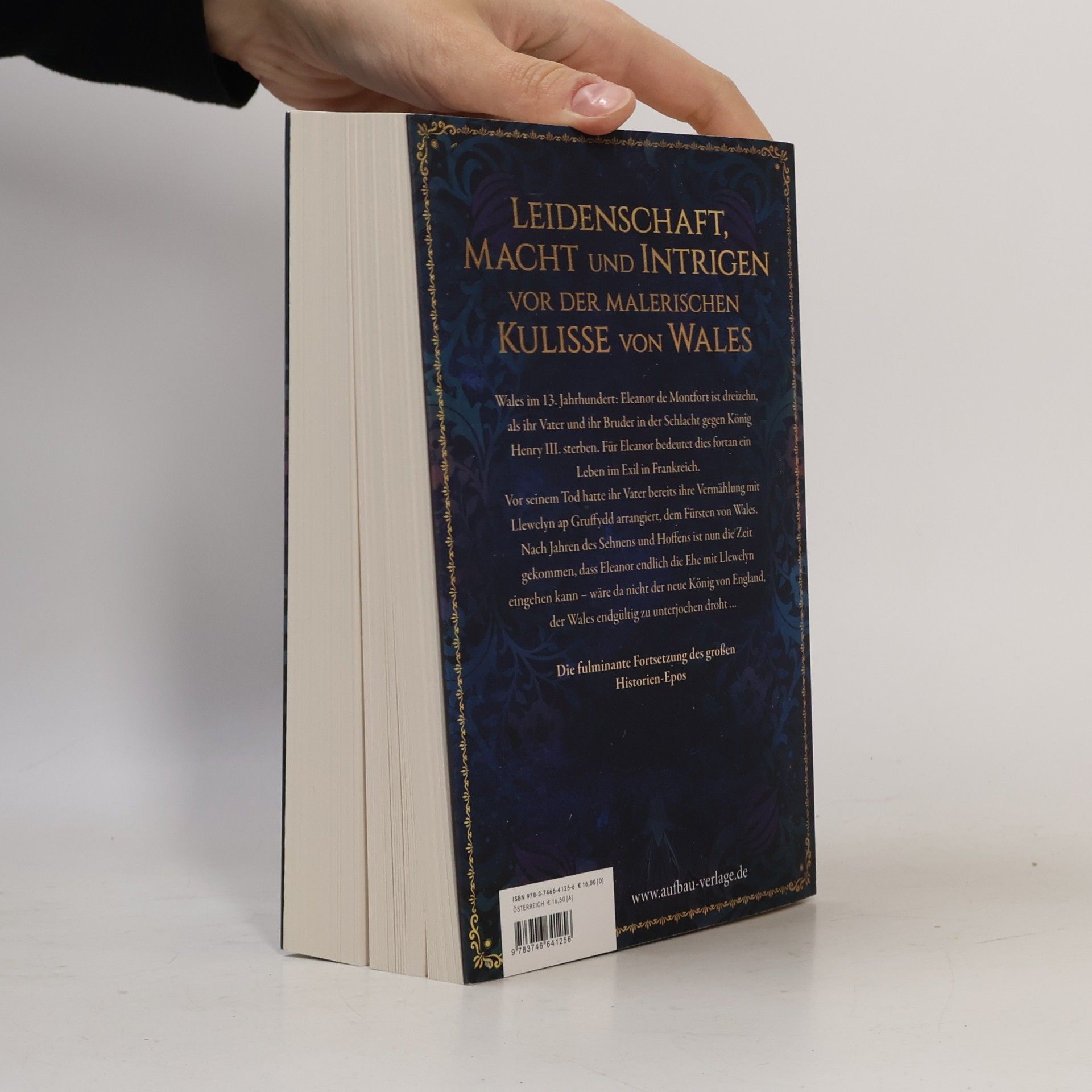 Sabrina Qunaj Die Wales-Saga - 2: Das Erbe der Drachenkrone