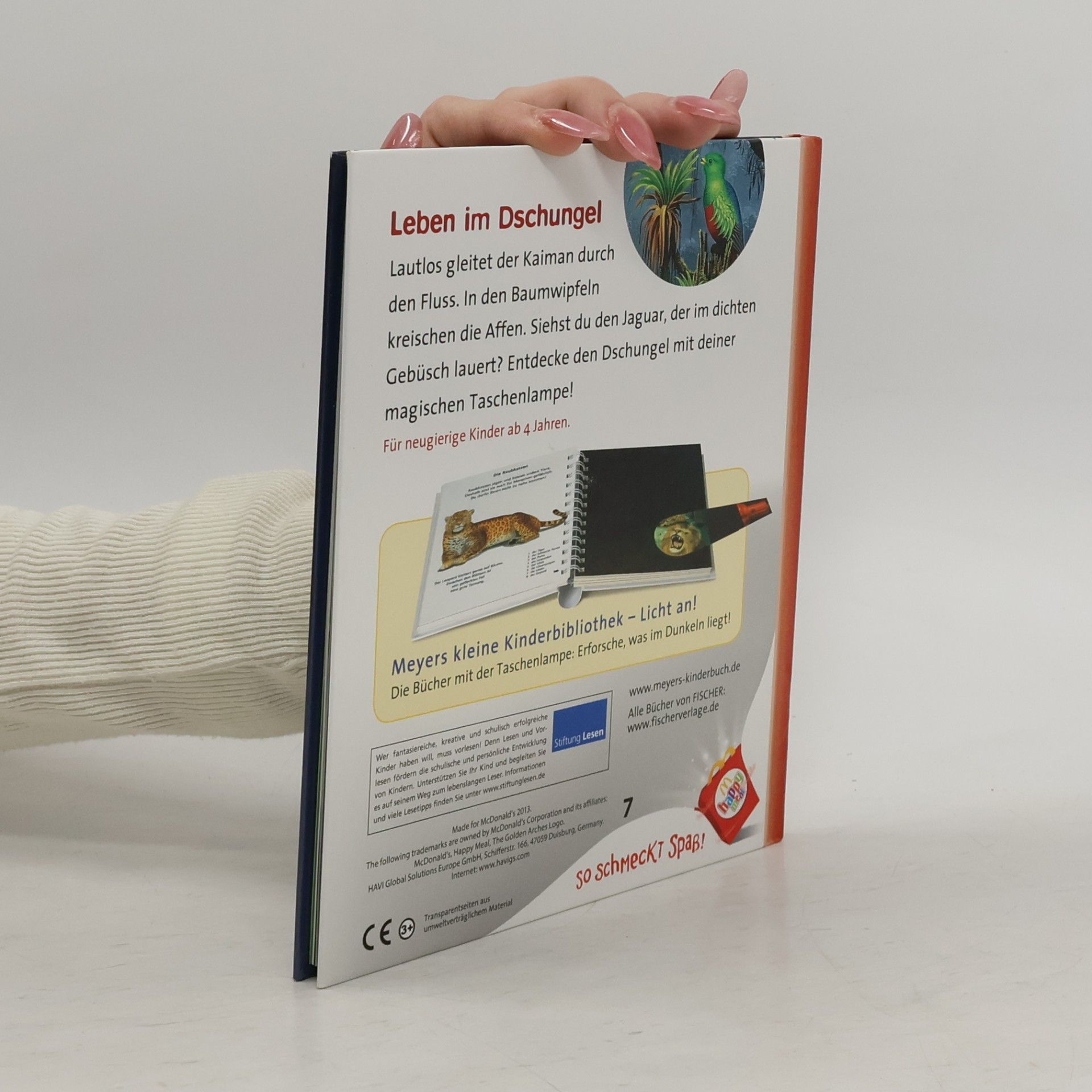 Kolektiv autorů Licht an! Leben im Dschungel
