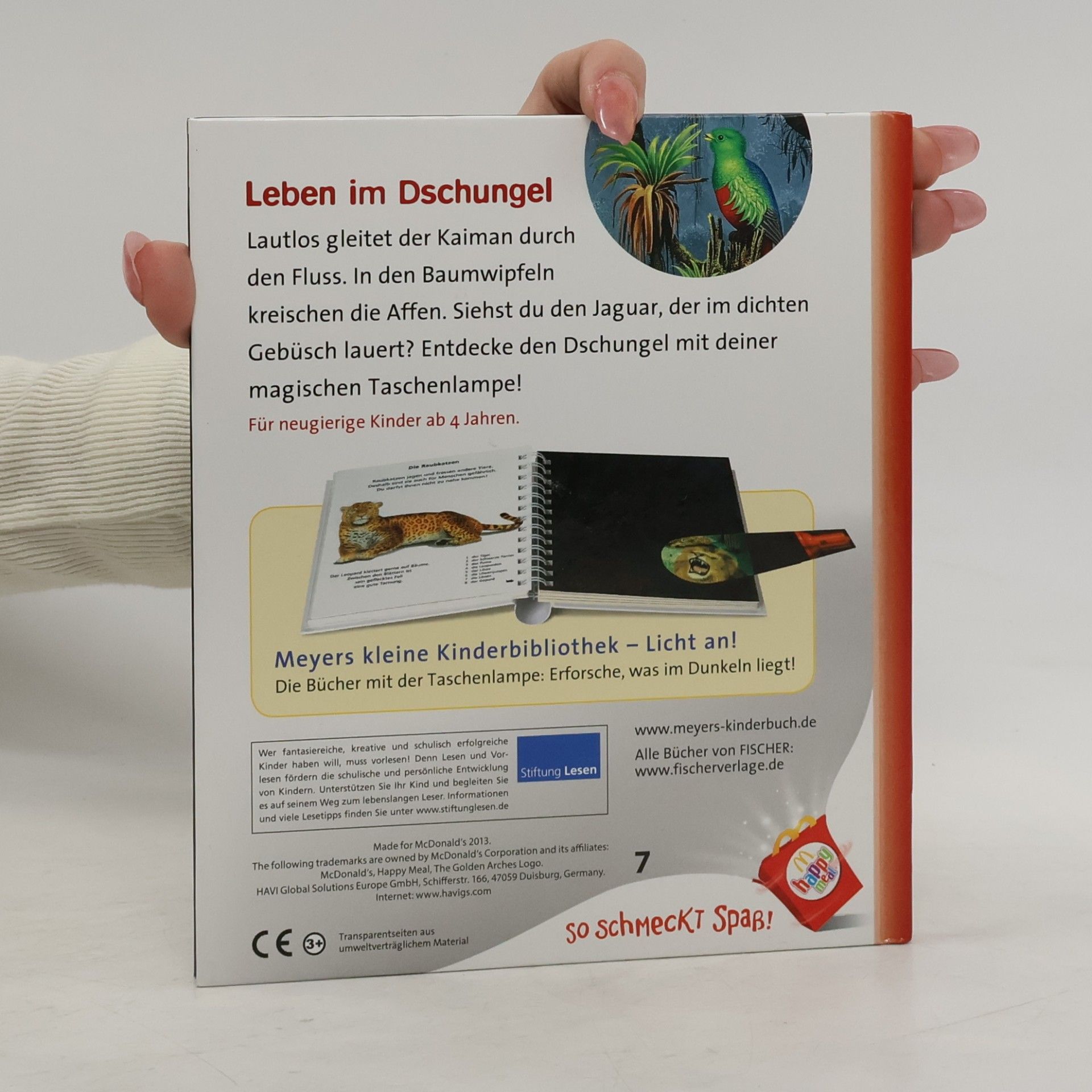 Kolektiv autorů Licht an! Leben im Dschungel