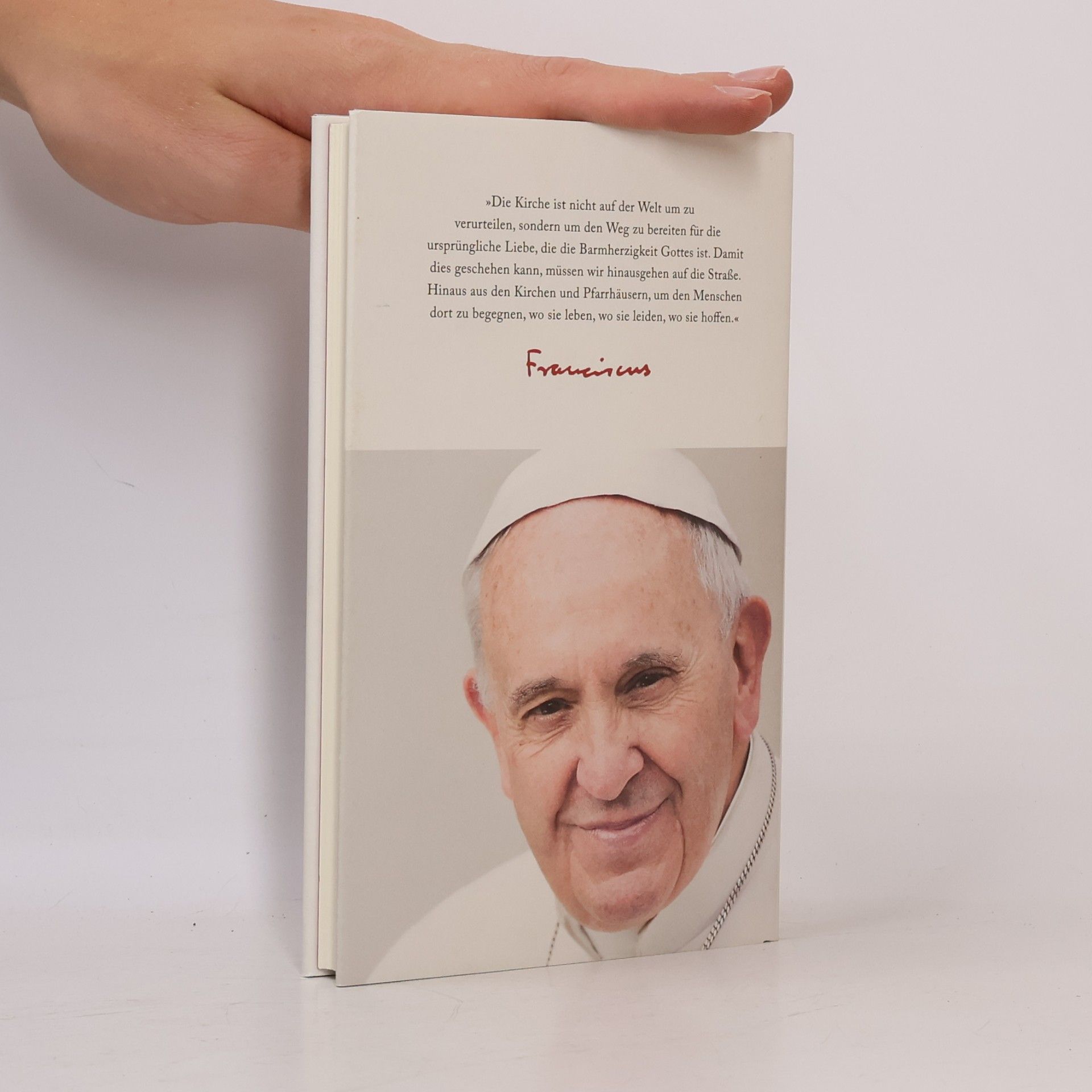 Pope Francis Der Name Gottes ist Barmherzigkeit