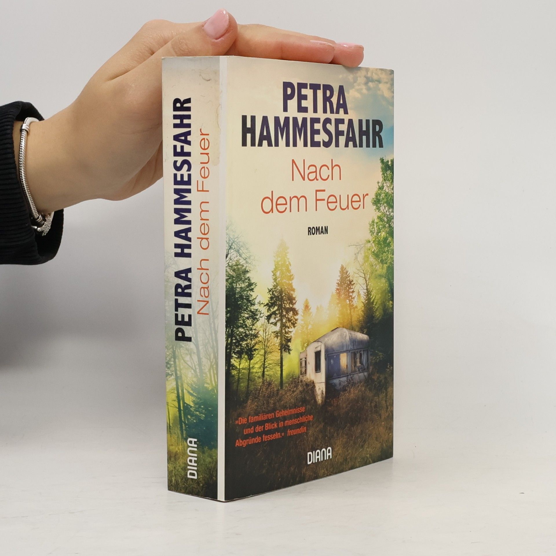 Petra Hammesfahr Nach dem Feuer