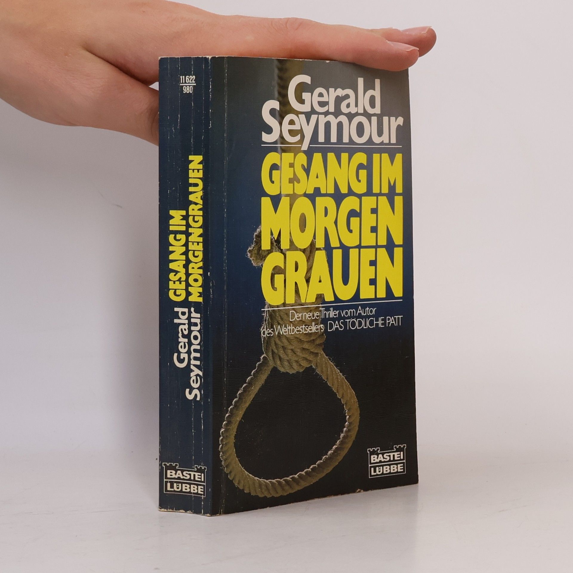 Gerald Seymour Gesang im Morgengrauen