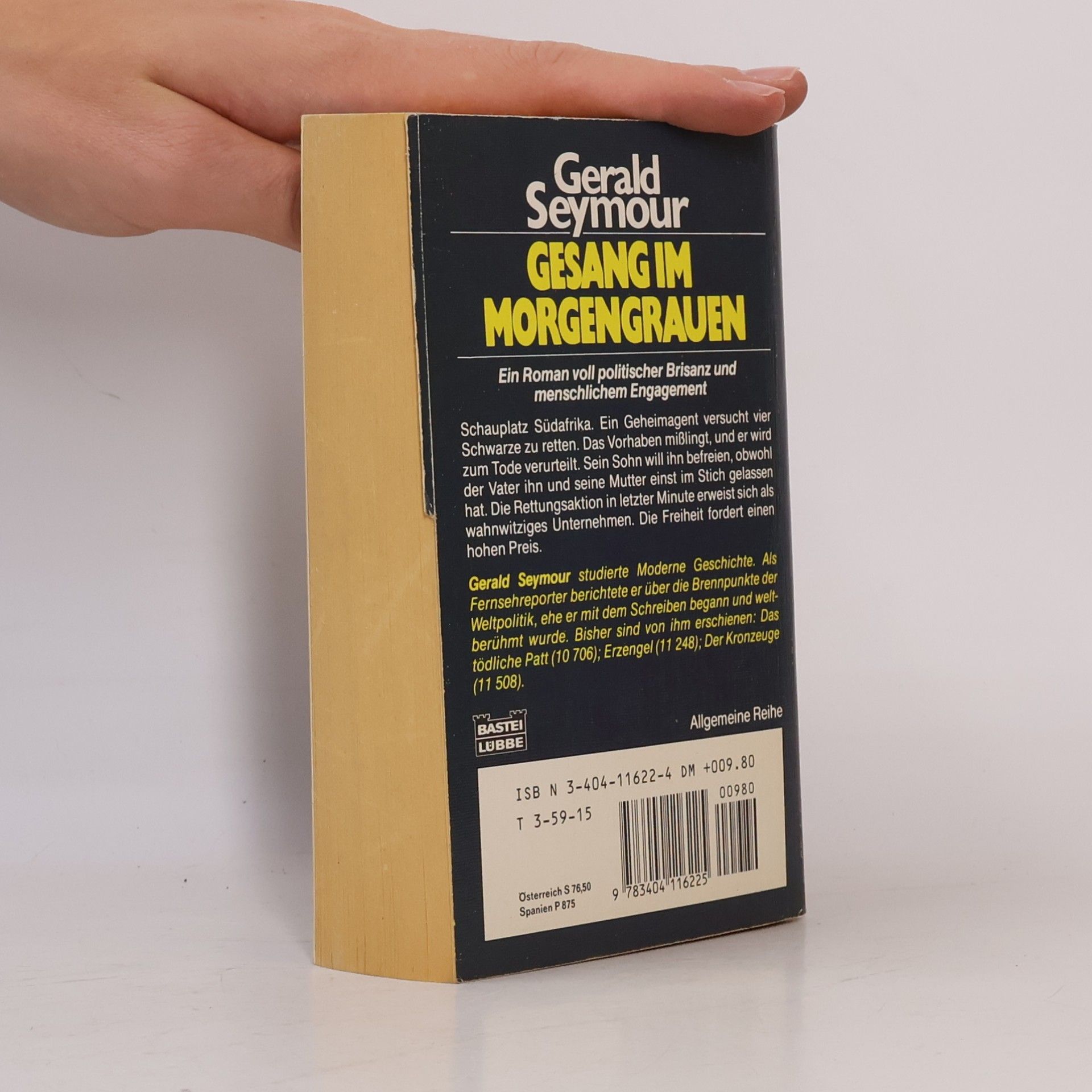 Gerald Seymour Gesang im Morgengrauen