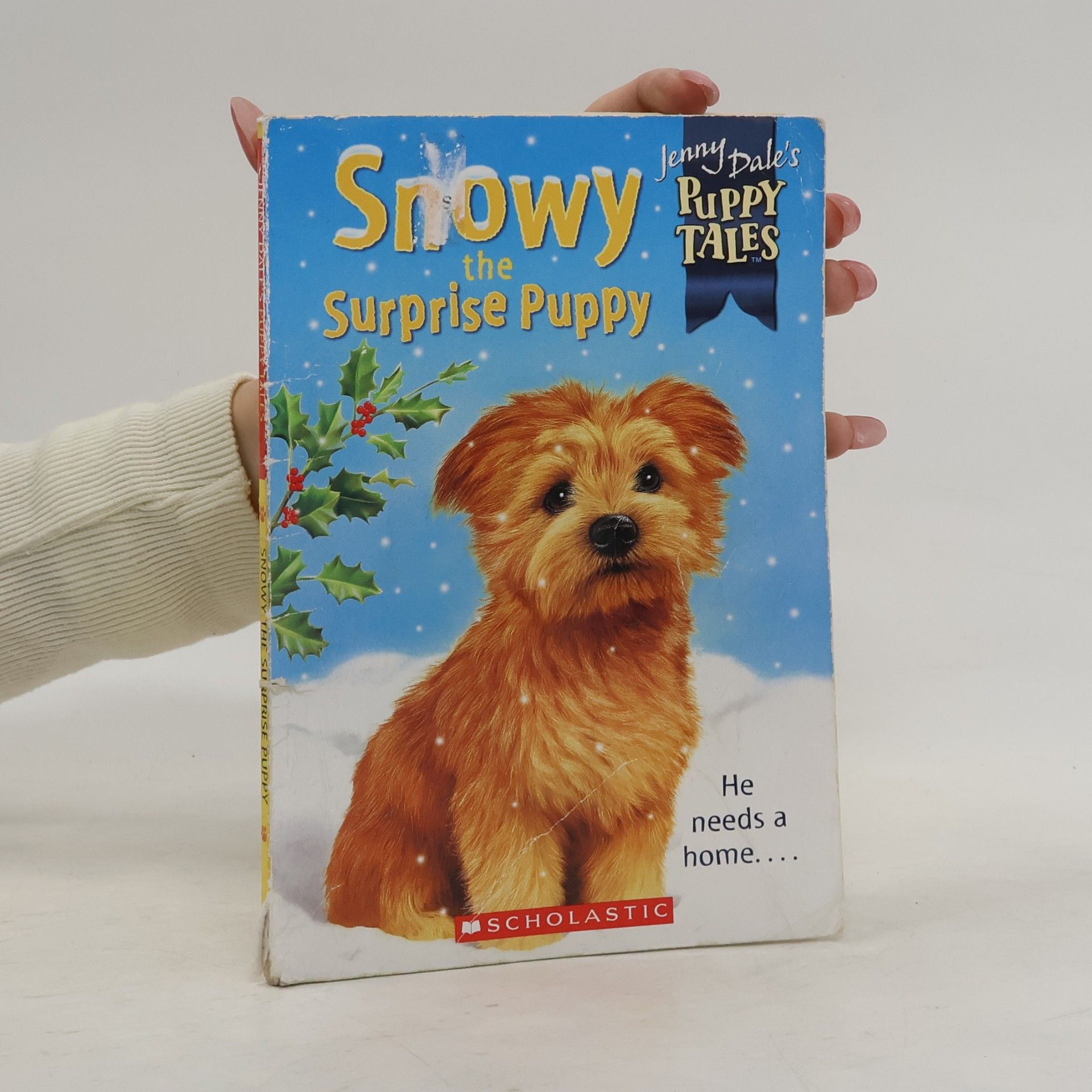 Jenny Dale Jenny Dale's Puppy Tales - 2: Snowy the Surprise Puppy