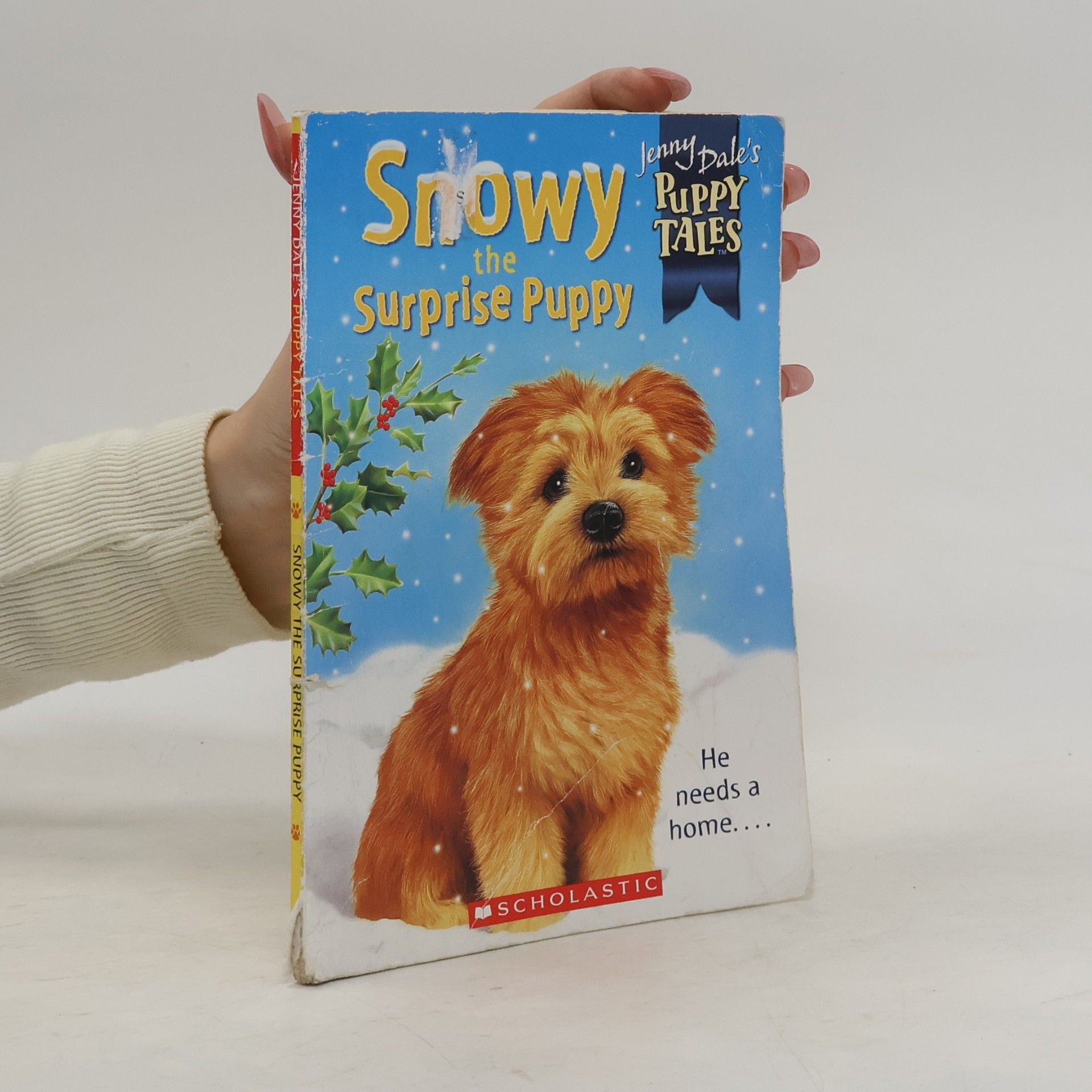 Jenny Dale Jenny Dale's Puppy Tales - 2: Snowy the Surprise Puppy