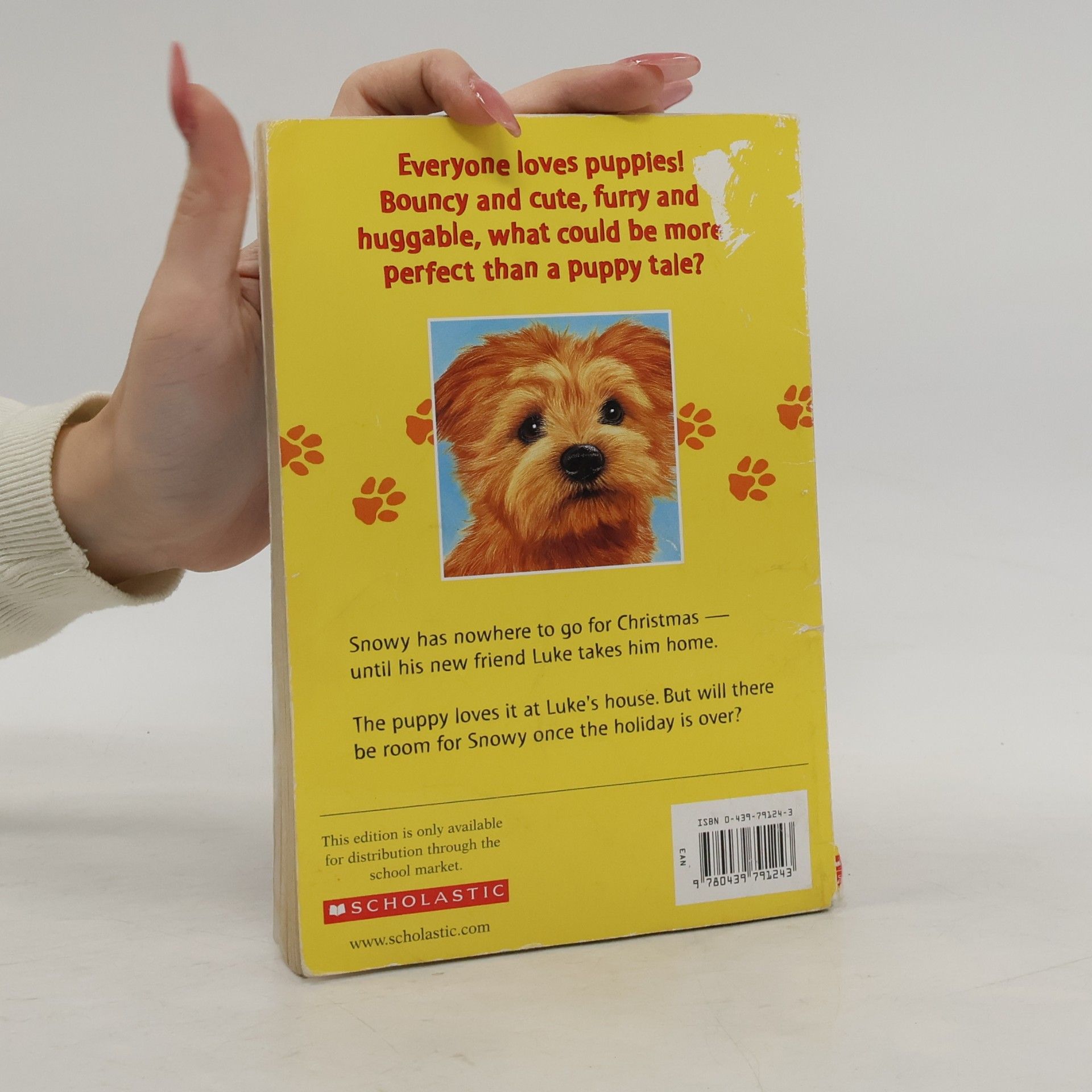 Jenny Dale Jenny Dale's Puppy Tales - 2: Snowy the Surprise Puppy