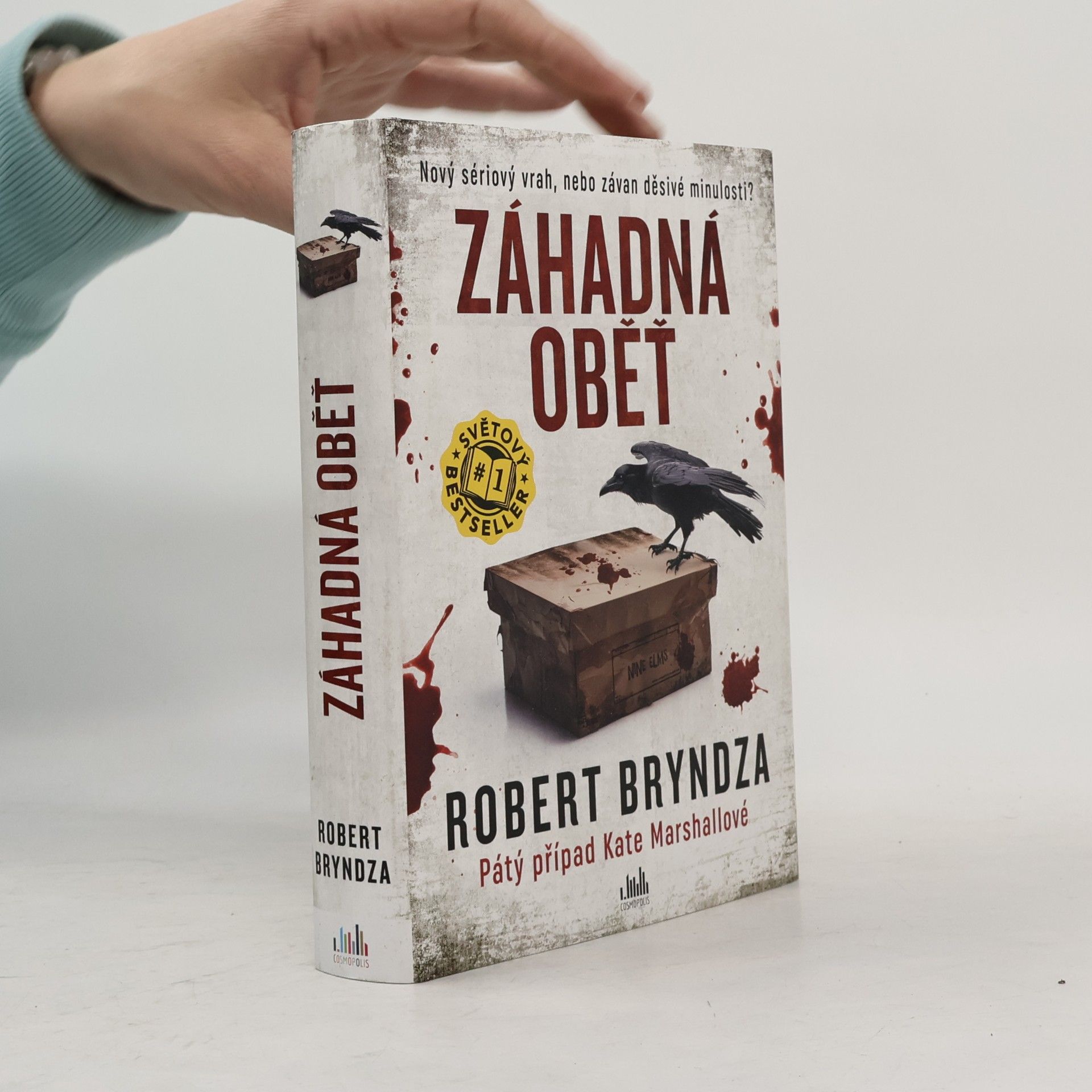 Robert Bryndza Záhadná oběť