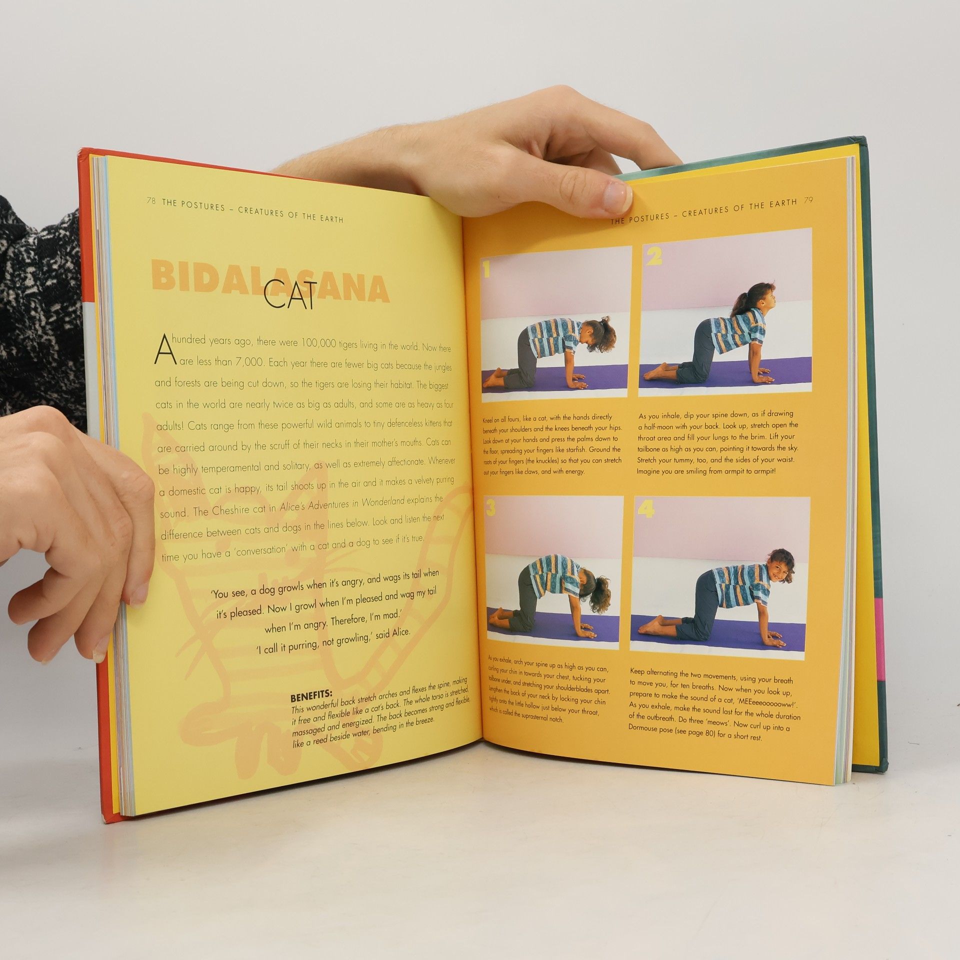 Liz Lark Yoga for Kids