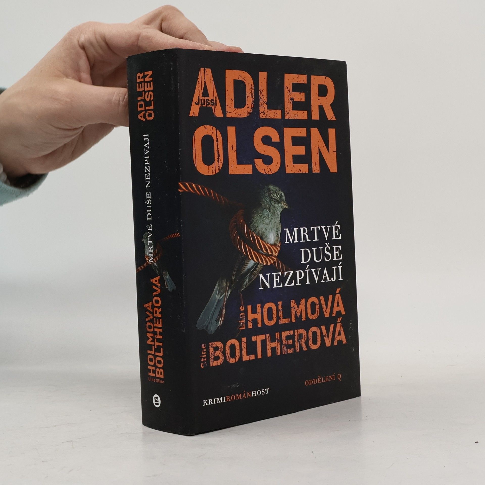 Stine Bolther Mrtvé duše nezpívají