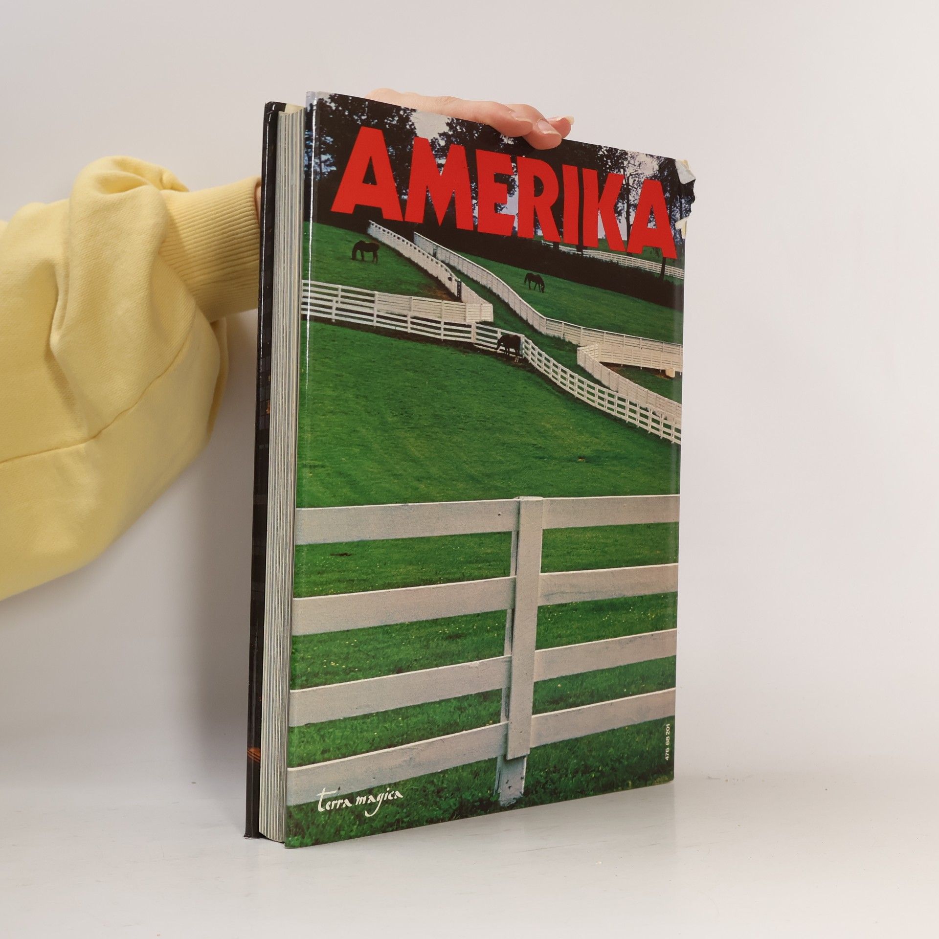 kolektiv Amerika