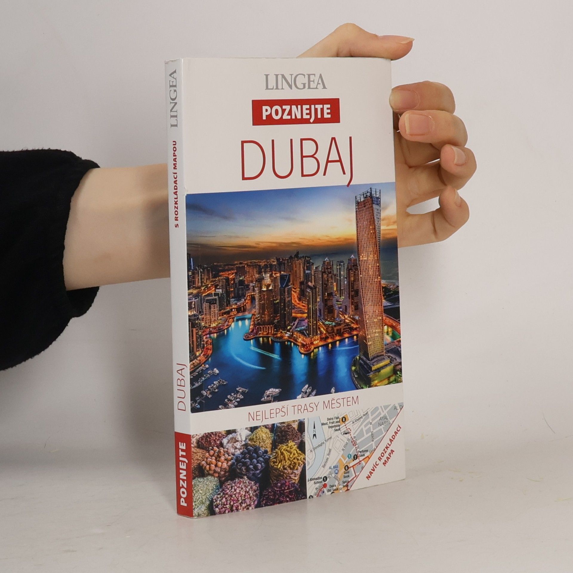 Autorenkollektiv Dubaj