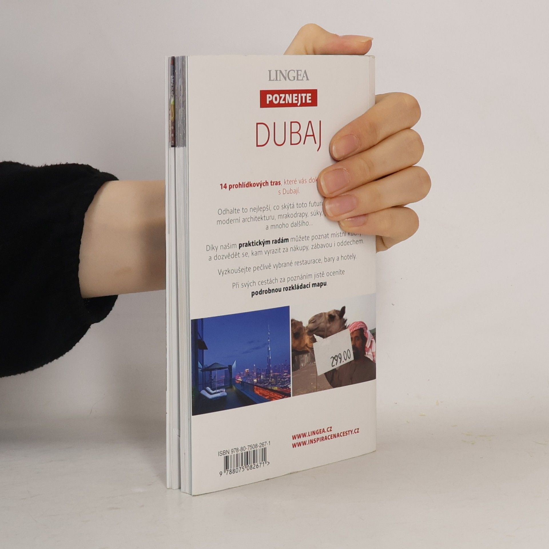 Kolektiv autorů Dubaj