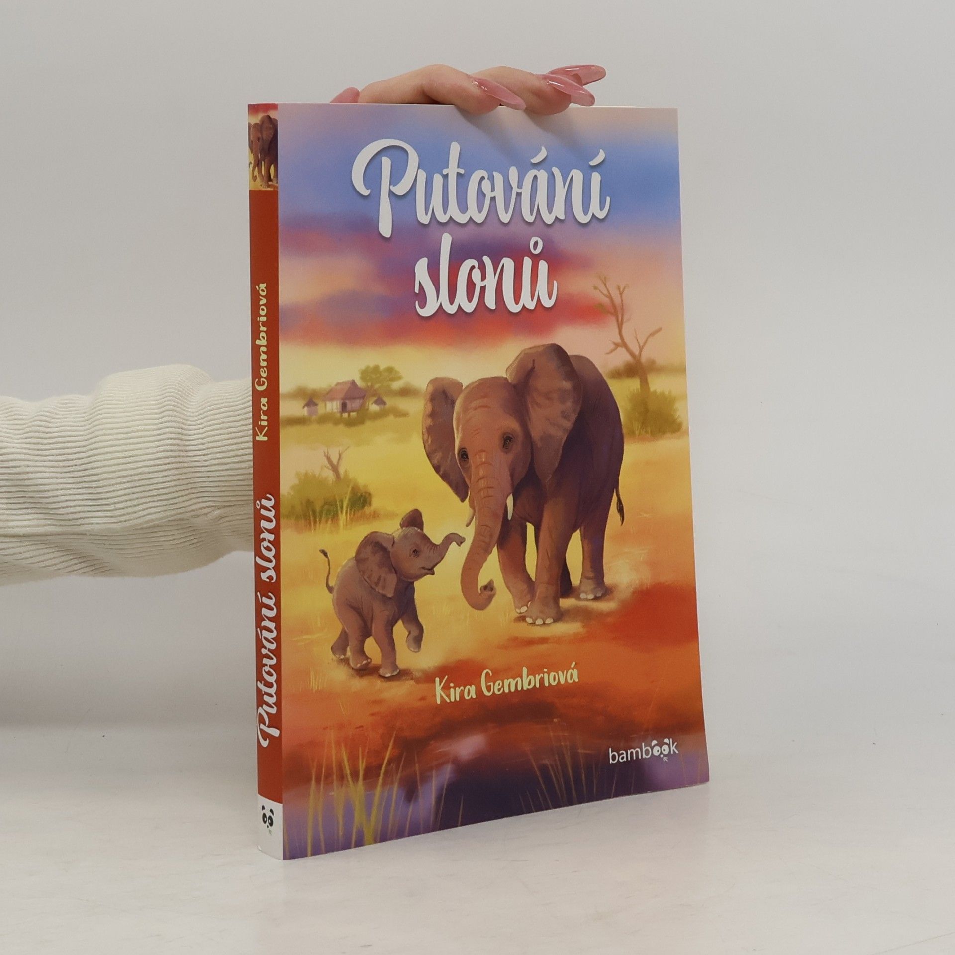 Putování slonů