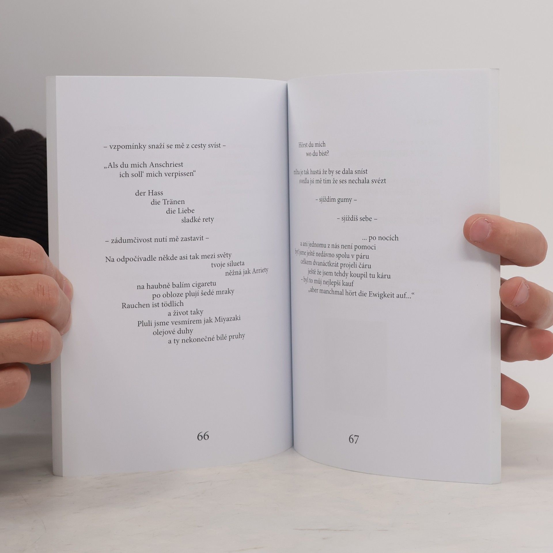 David Stringbreaker Fojtík Almanach Poezie, vole